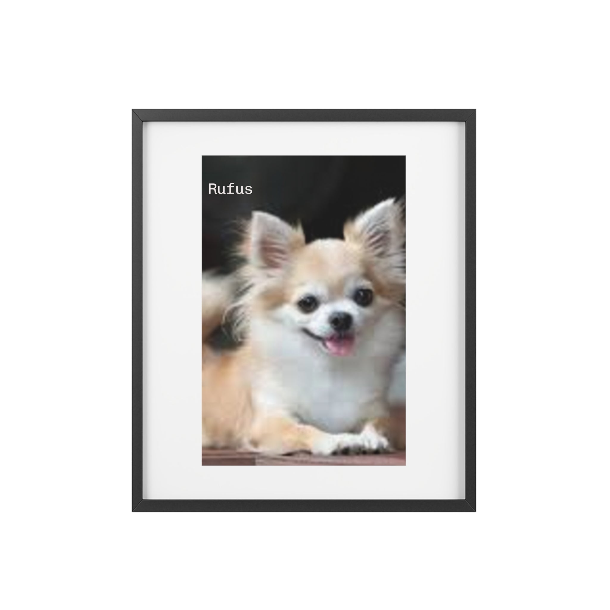Framed Matte Poster