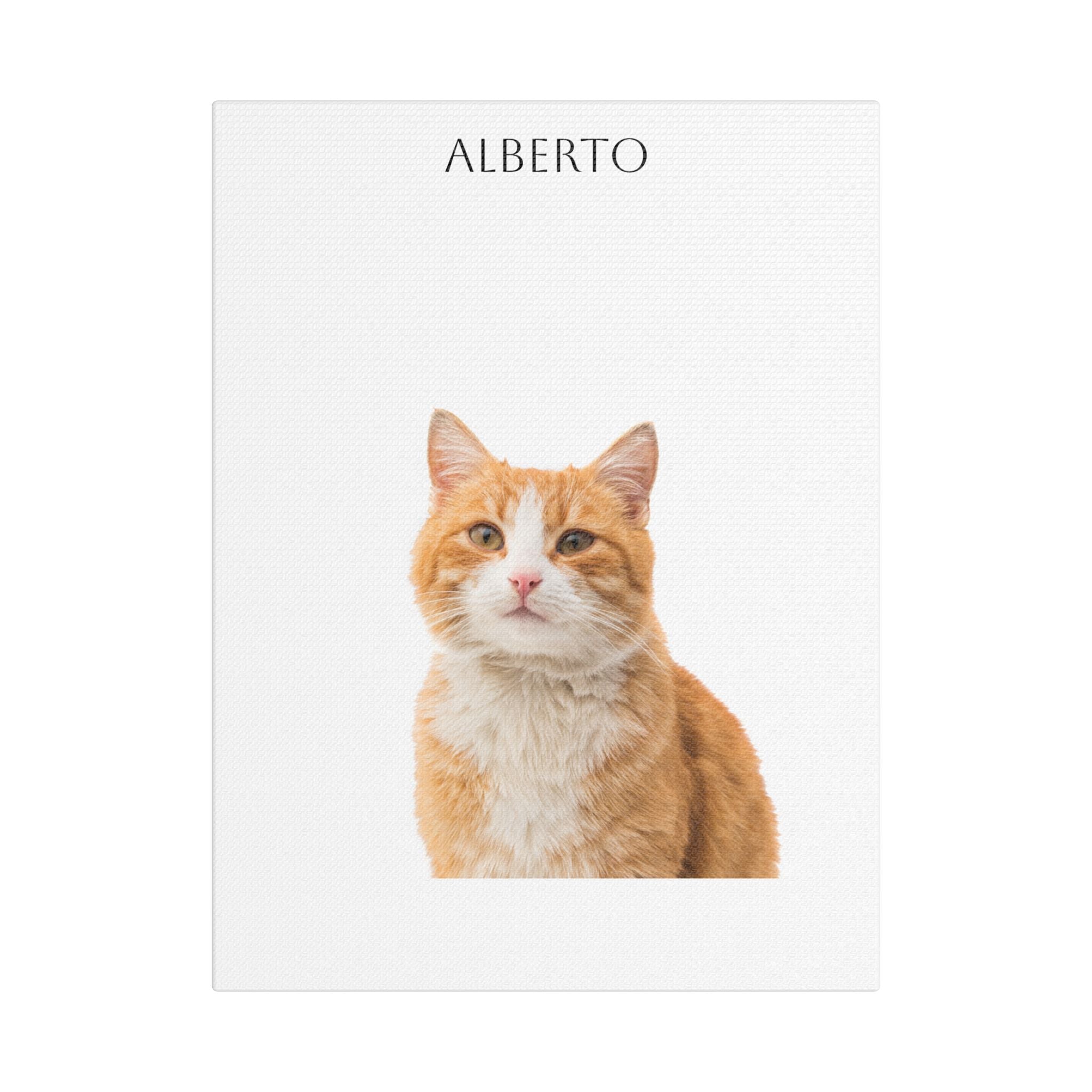 Pet Portrait Satin Canvas (Stretched)