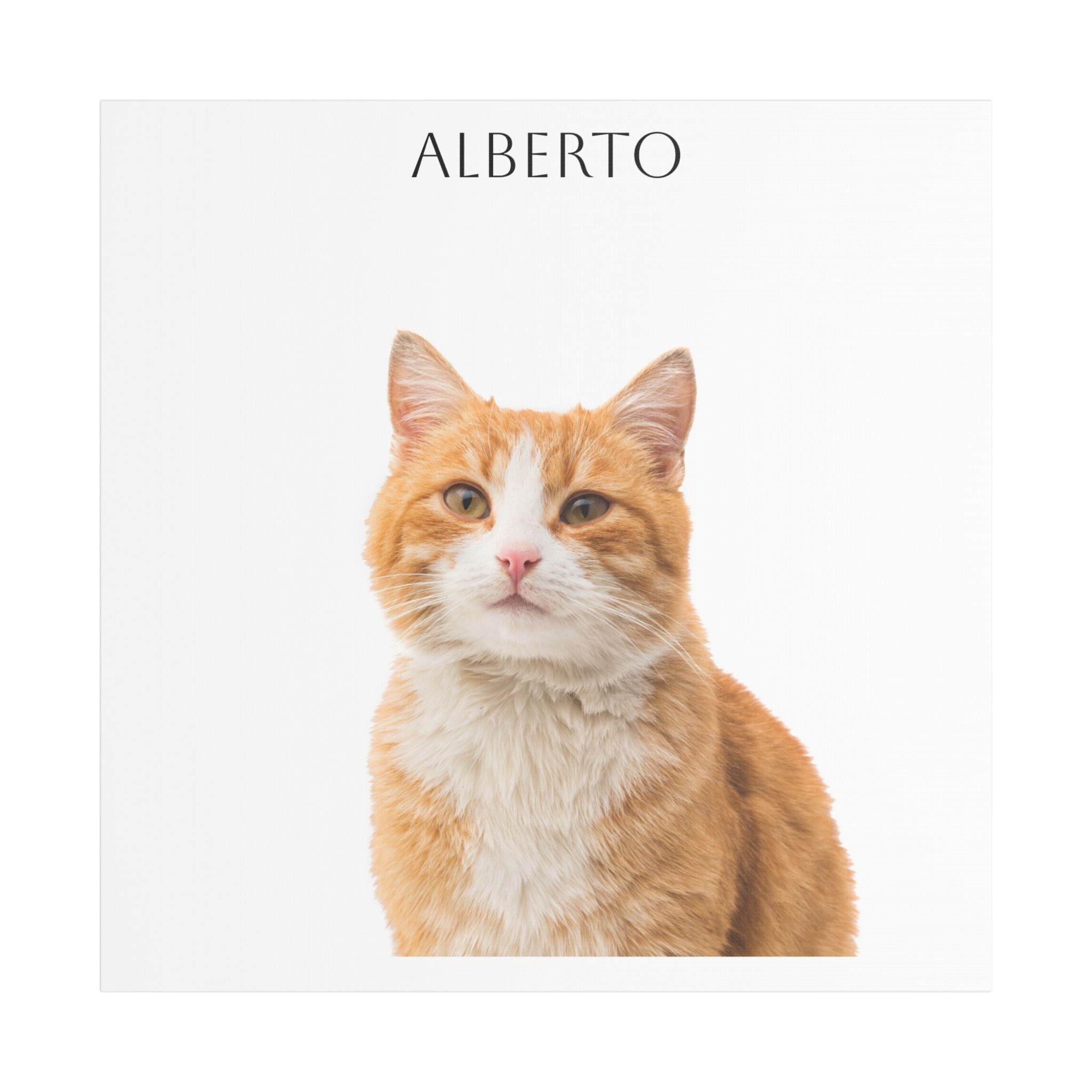 Pet Portrait Satin Canvas (Stretched)