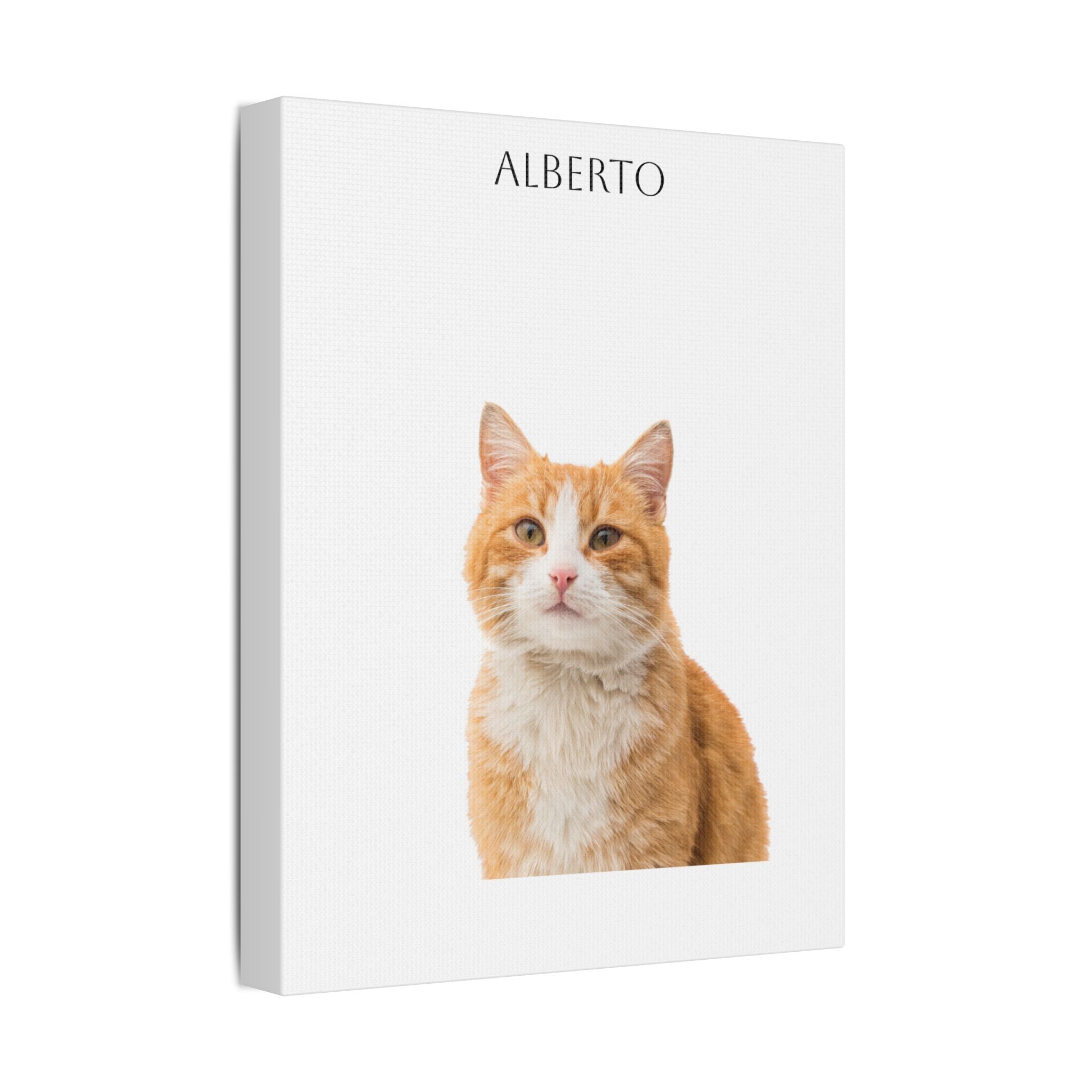 Pet Portrait Satin Canvas (Stretched)
