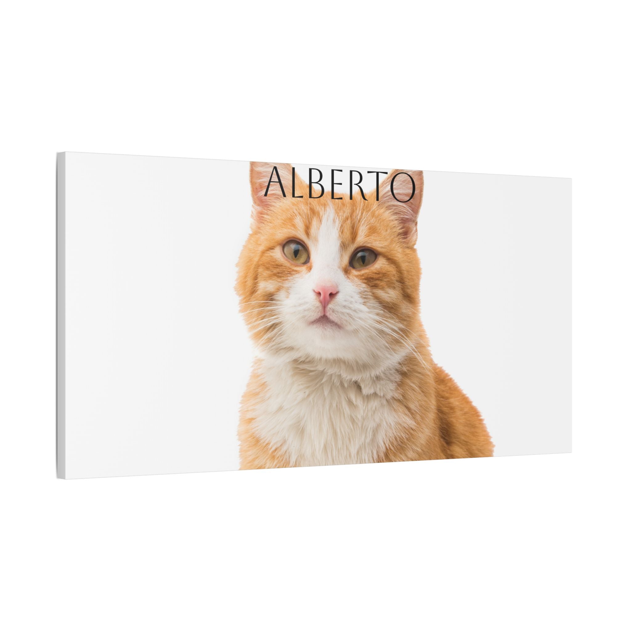 Pet Portrait Satin Canvas (Stretched)