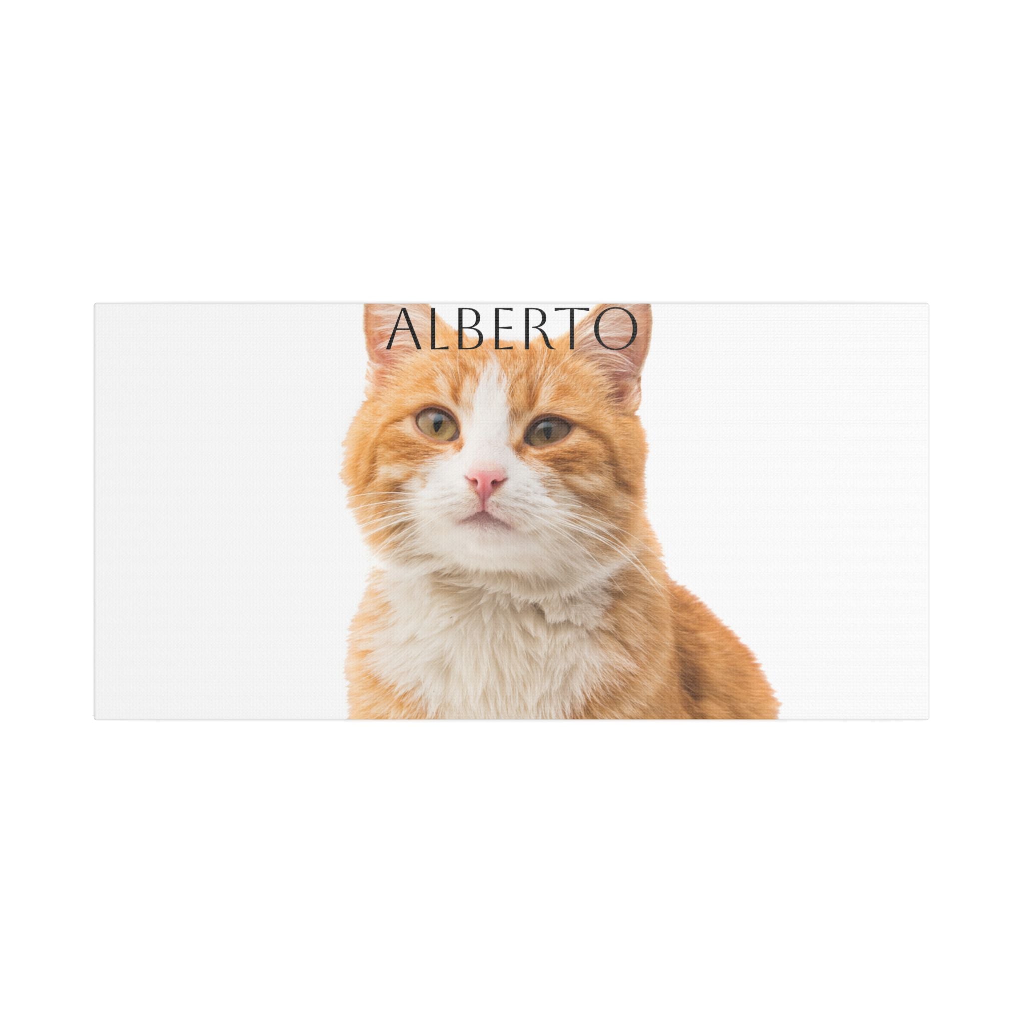 Pet Portrait Satin Canvas (Stretched)