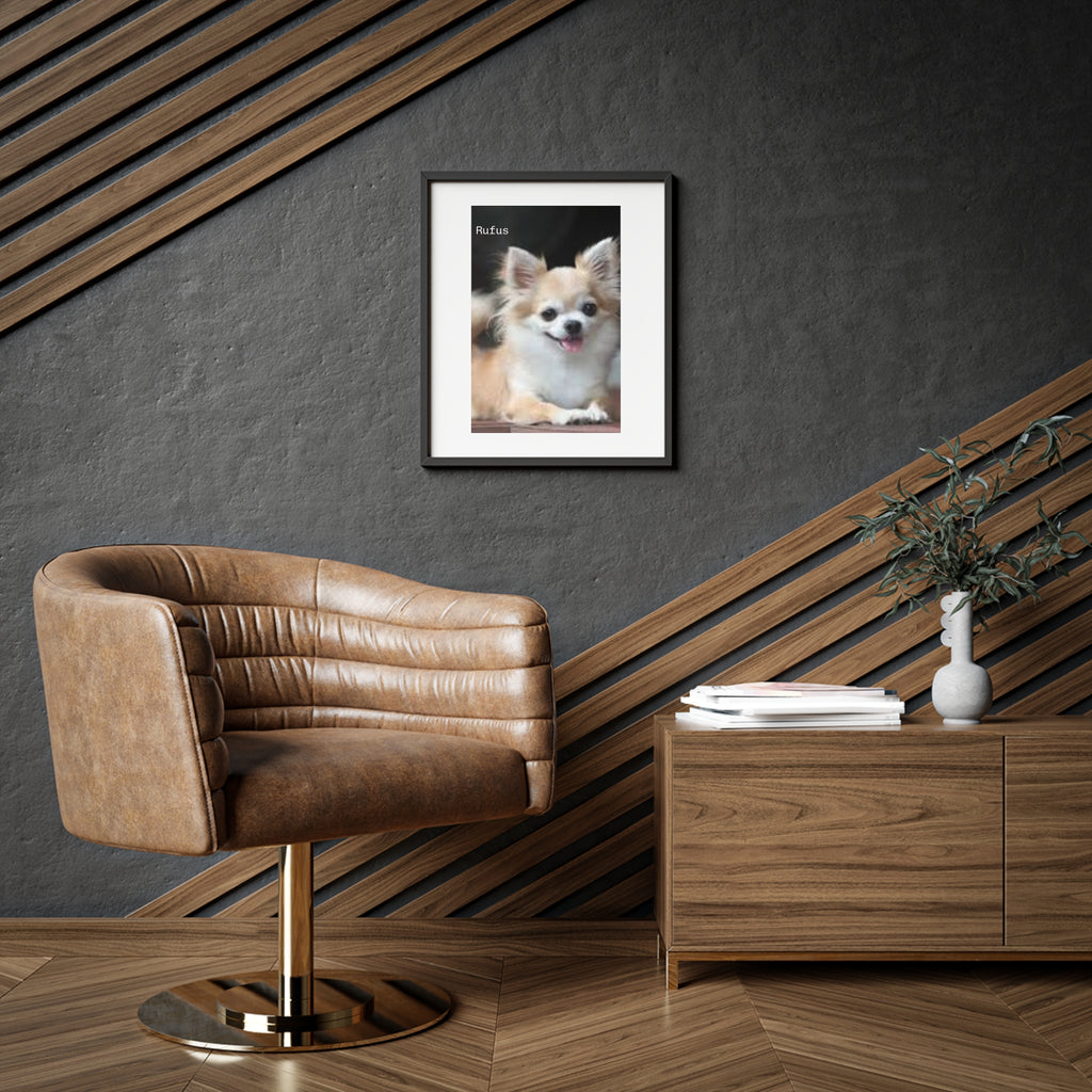 Framed Matte Poster