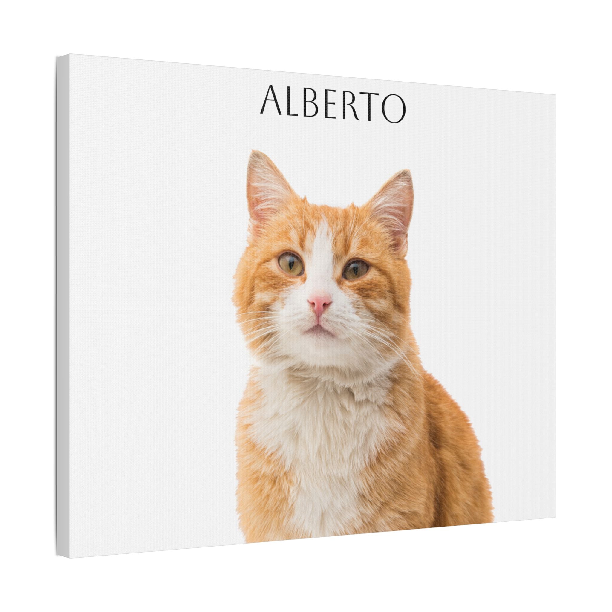 Pet Portrait Satin Canvas (Stretched)