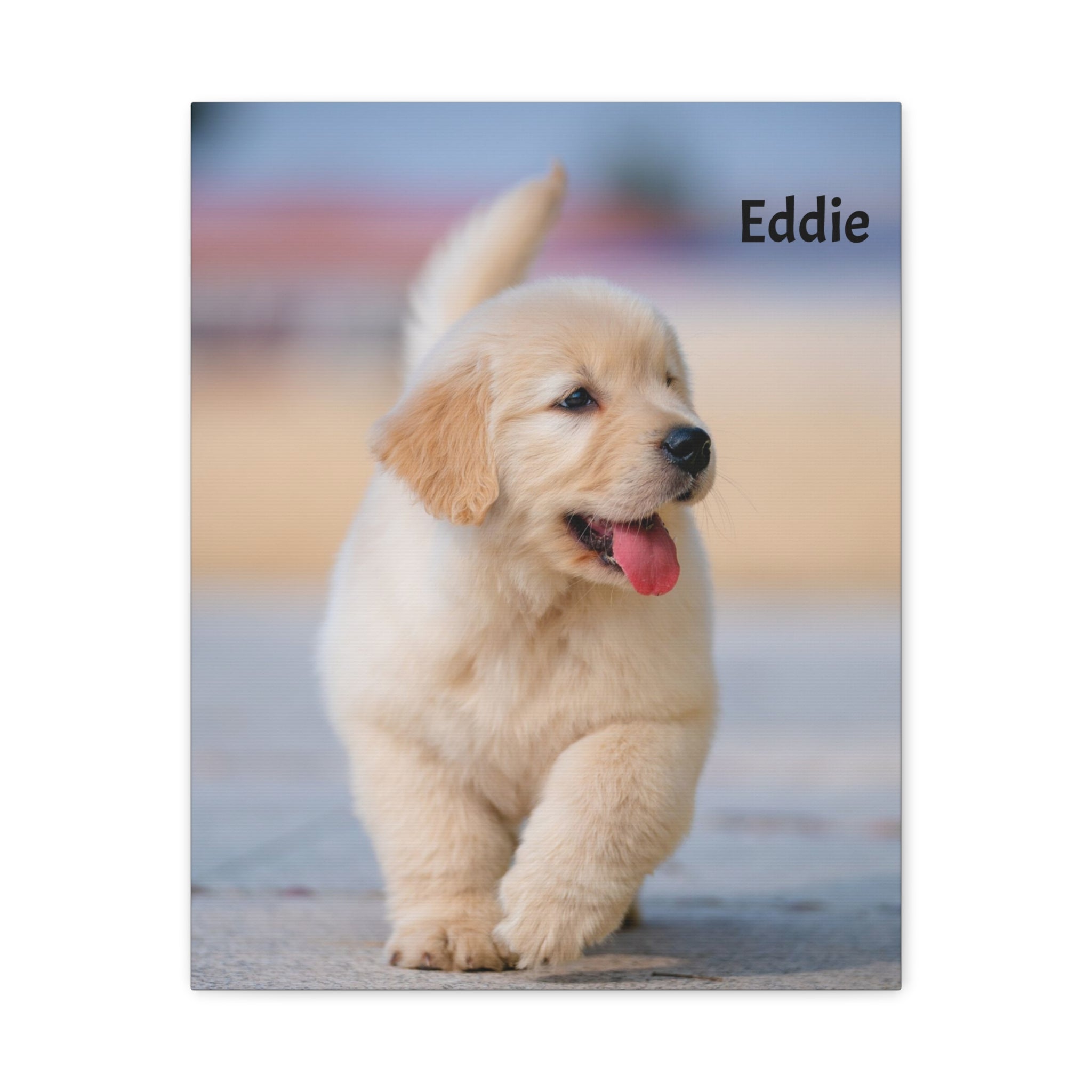 Golden Retriever Puppy Canvas Print — Adorable Walking Pup Wall Art, Stretched Matte Canvas