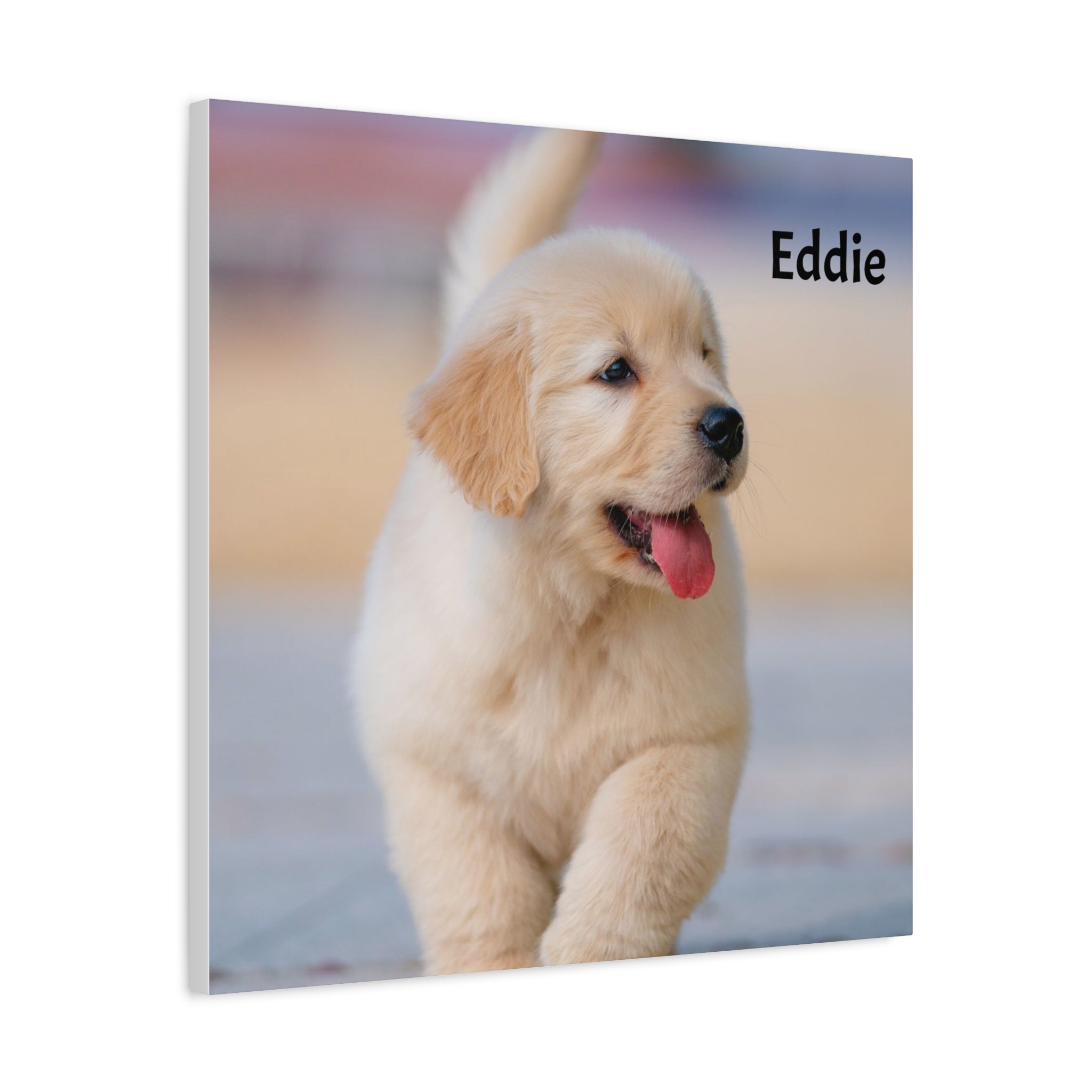 Golden Retriever Puppy Canvas Print — Adorable Walking Pup Wall Art, Stretched Matte Canvas