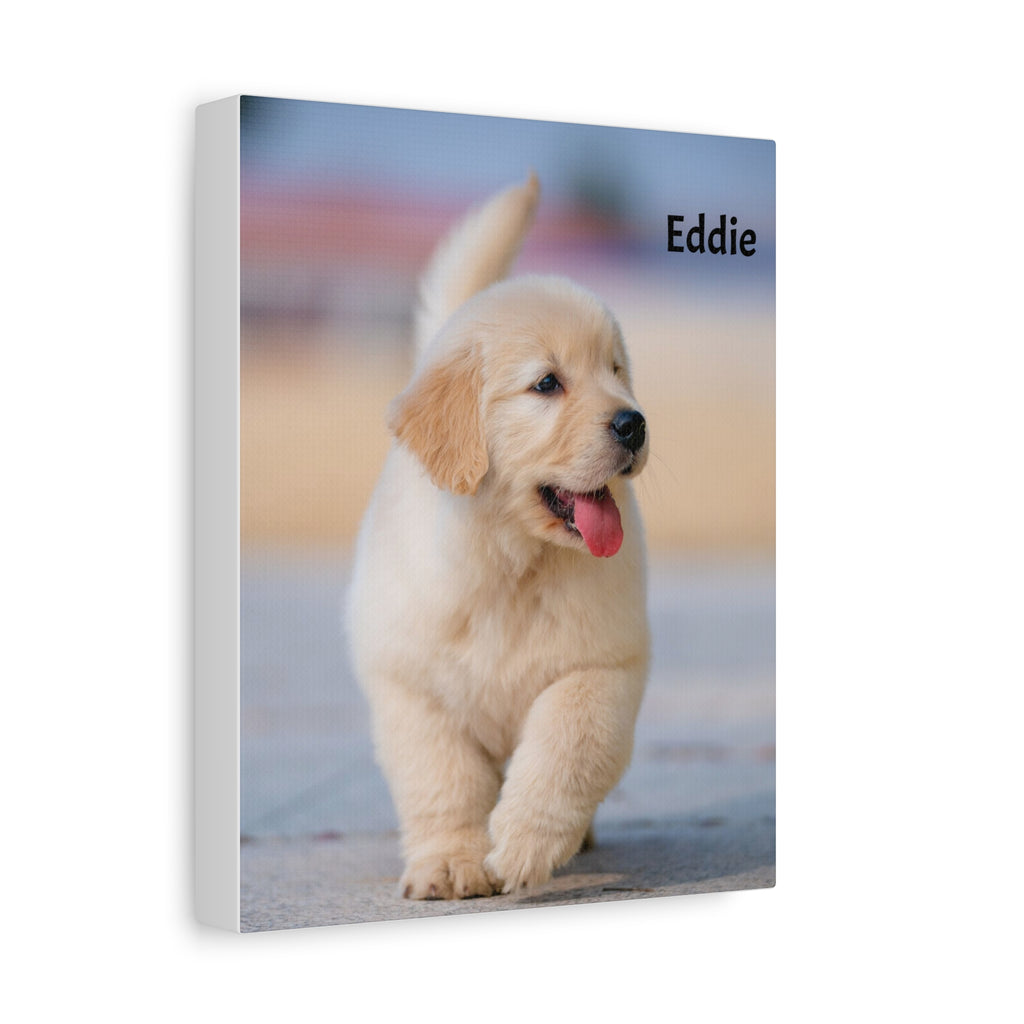 Golden Retriever Puppy Canvas Print — Adorable Walking Pup Wall Art, Stretched Matte Canvas