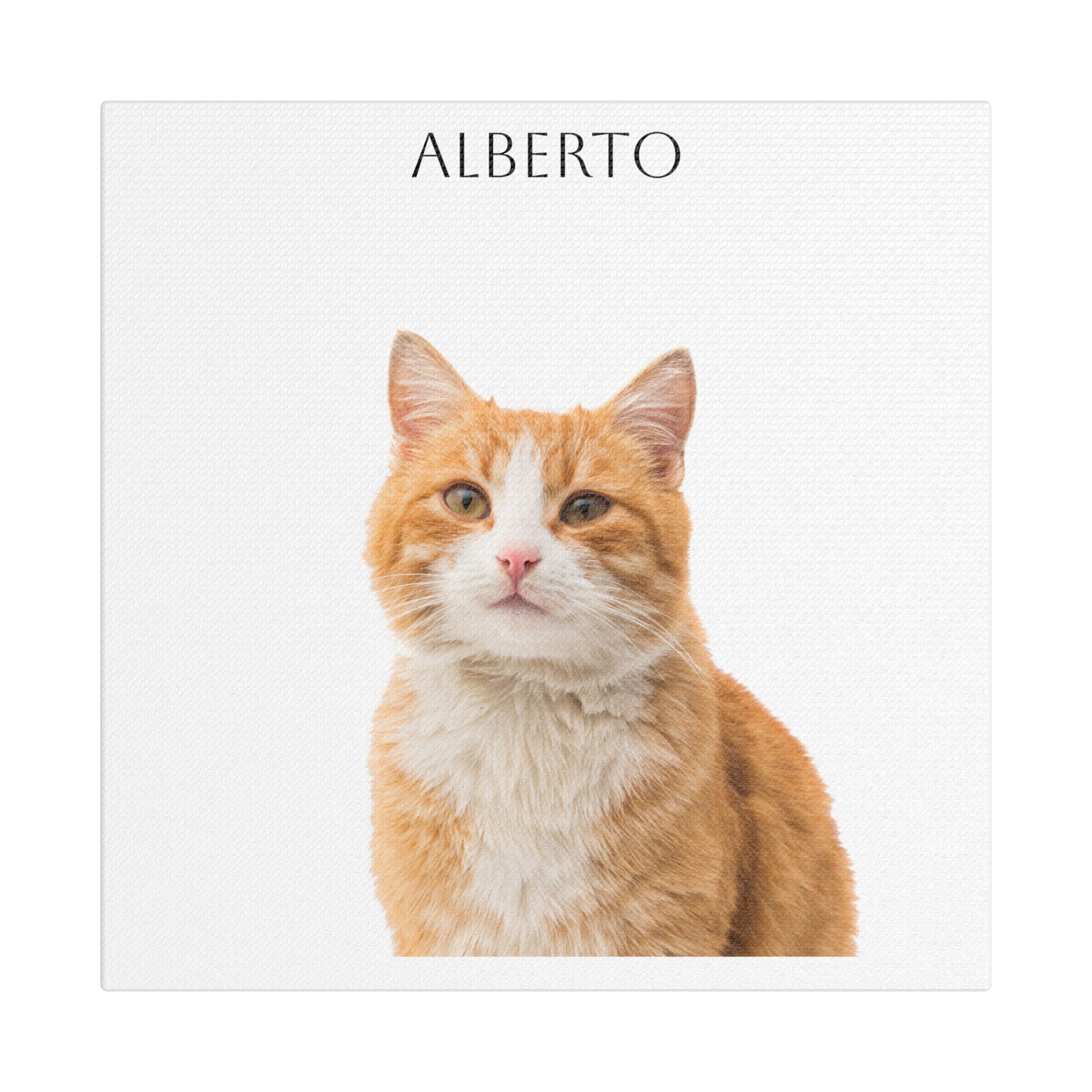 Pet Portrait Satin Canvas (Stretched)