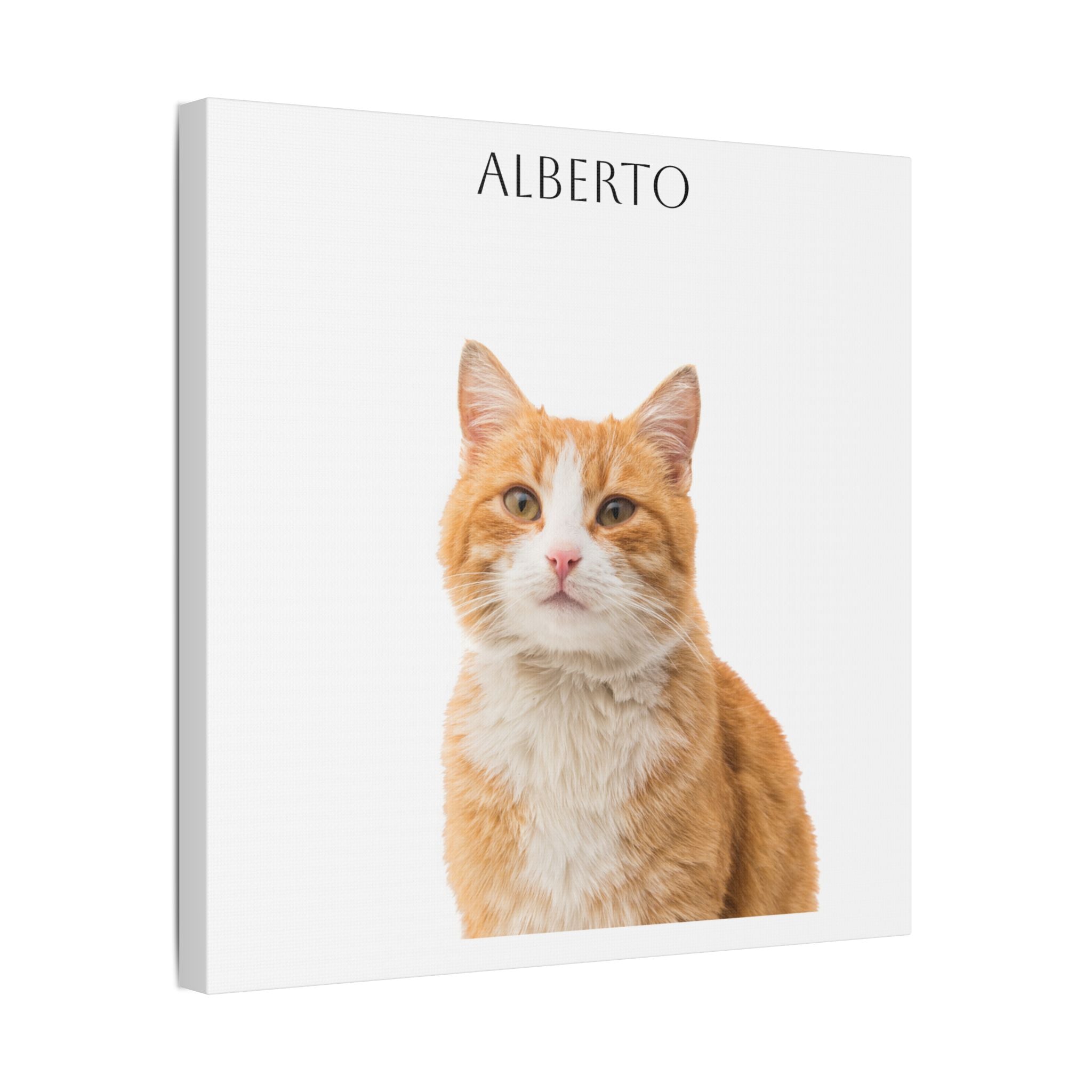 Pet Portrait Satin Canvas (Stretched)
