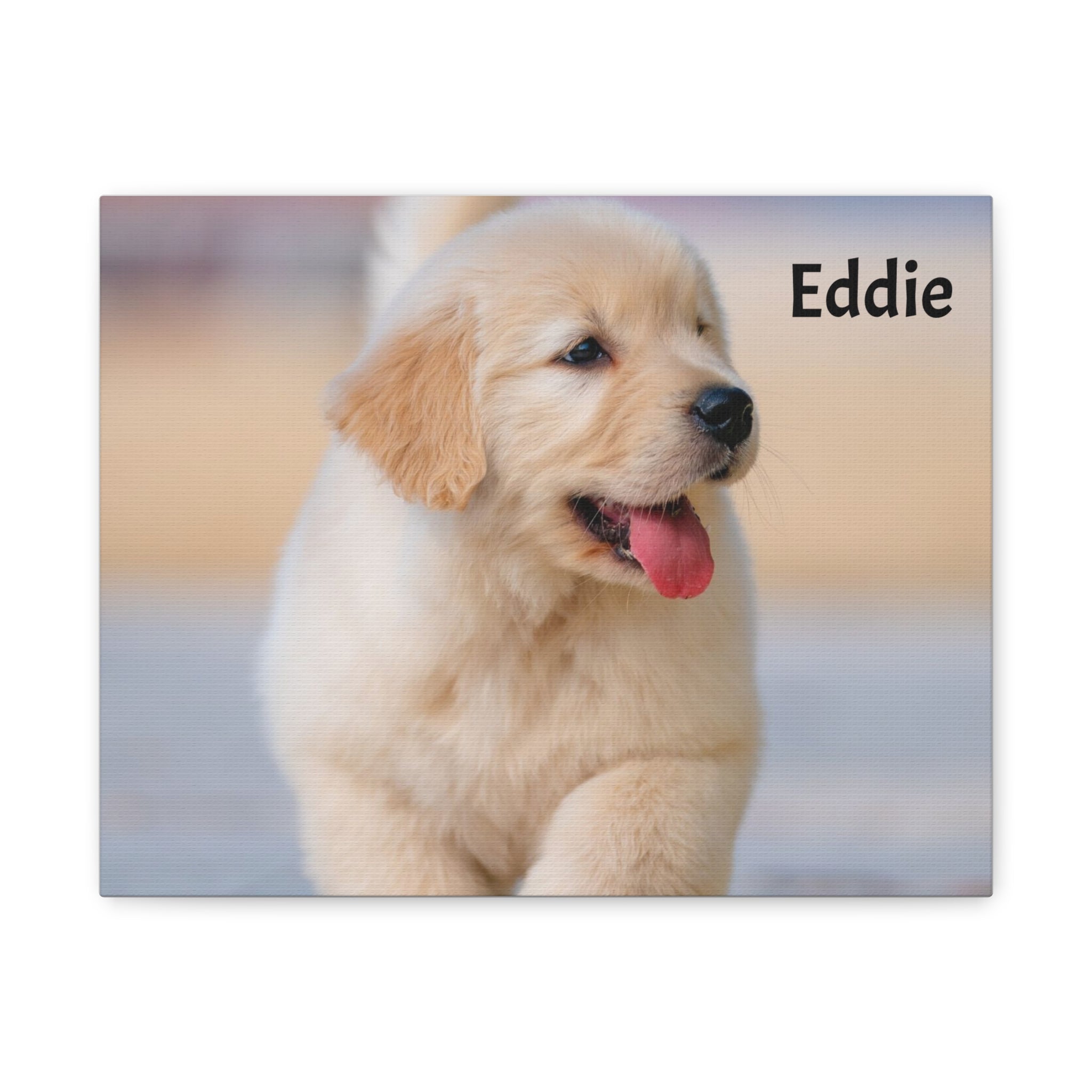 Golden Retriever Puppy Canvas Print — Adorable Walking Pup Wall Art, Stretched Matte Canvas