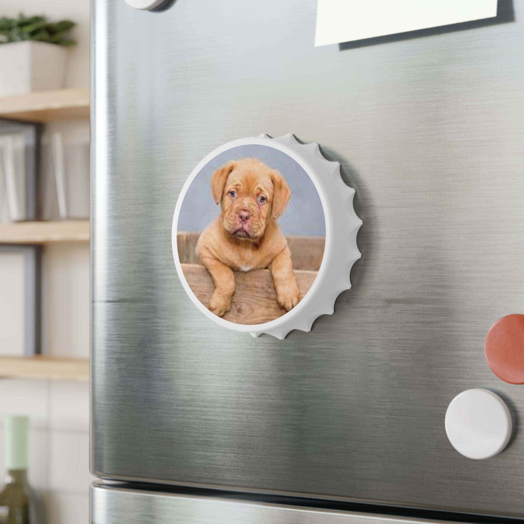 Cute Magnet Bottle Cap Opener