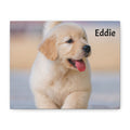 Golden Retriever Puppy Canvas Print — Adorable Walking Pup Wall Art, Stretched Matte Canvas