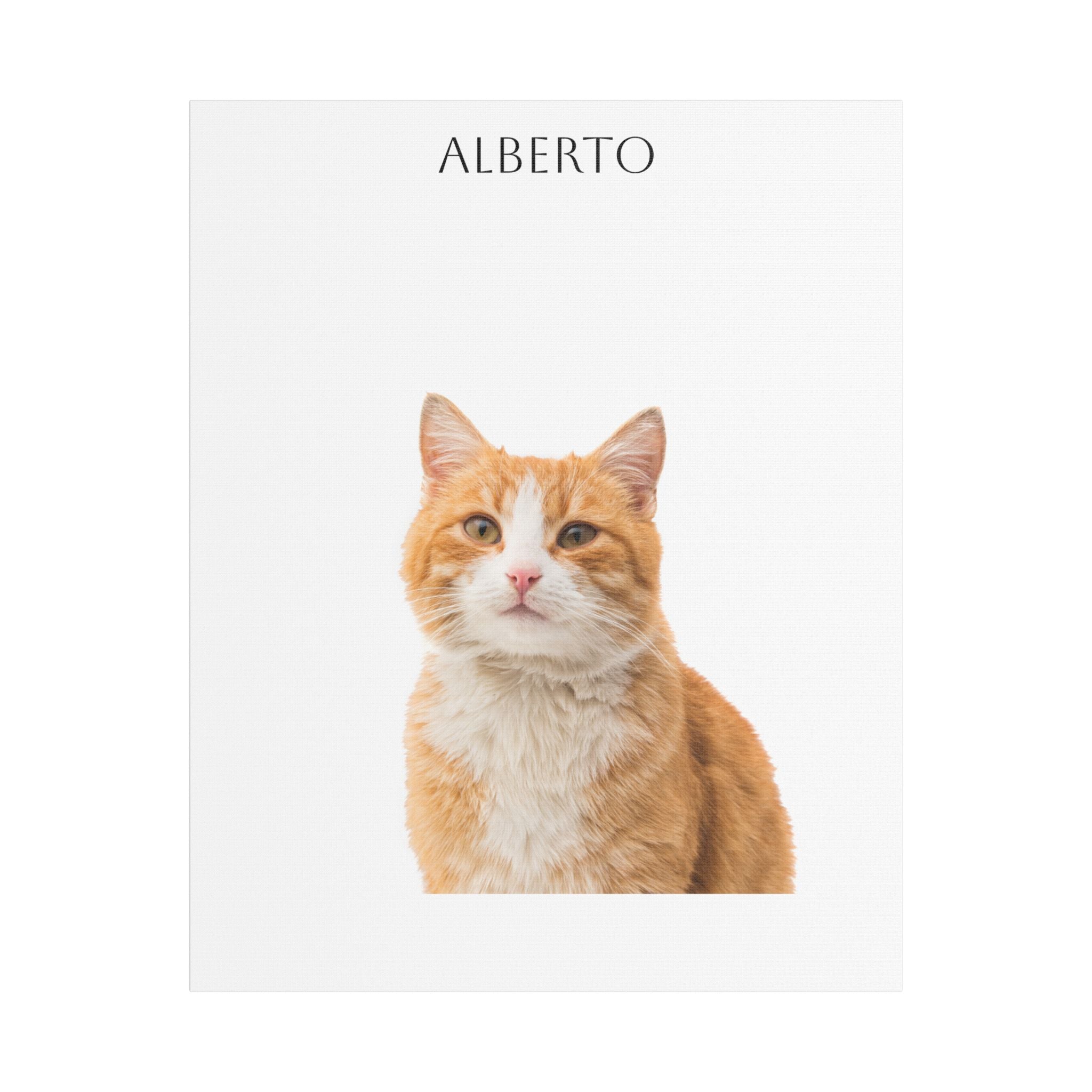 Pet Portrait Satin Canvas (Stretched)
