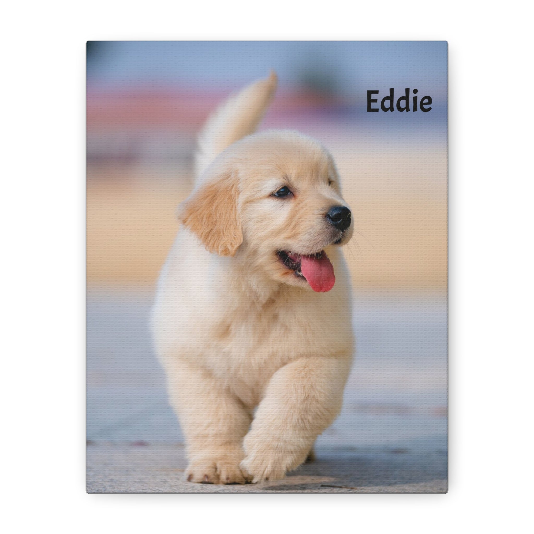 Golden Retriever Puppy Canvas Print — Adorable Walking Pup Wall Art, Stretched Matte Canvas