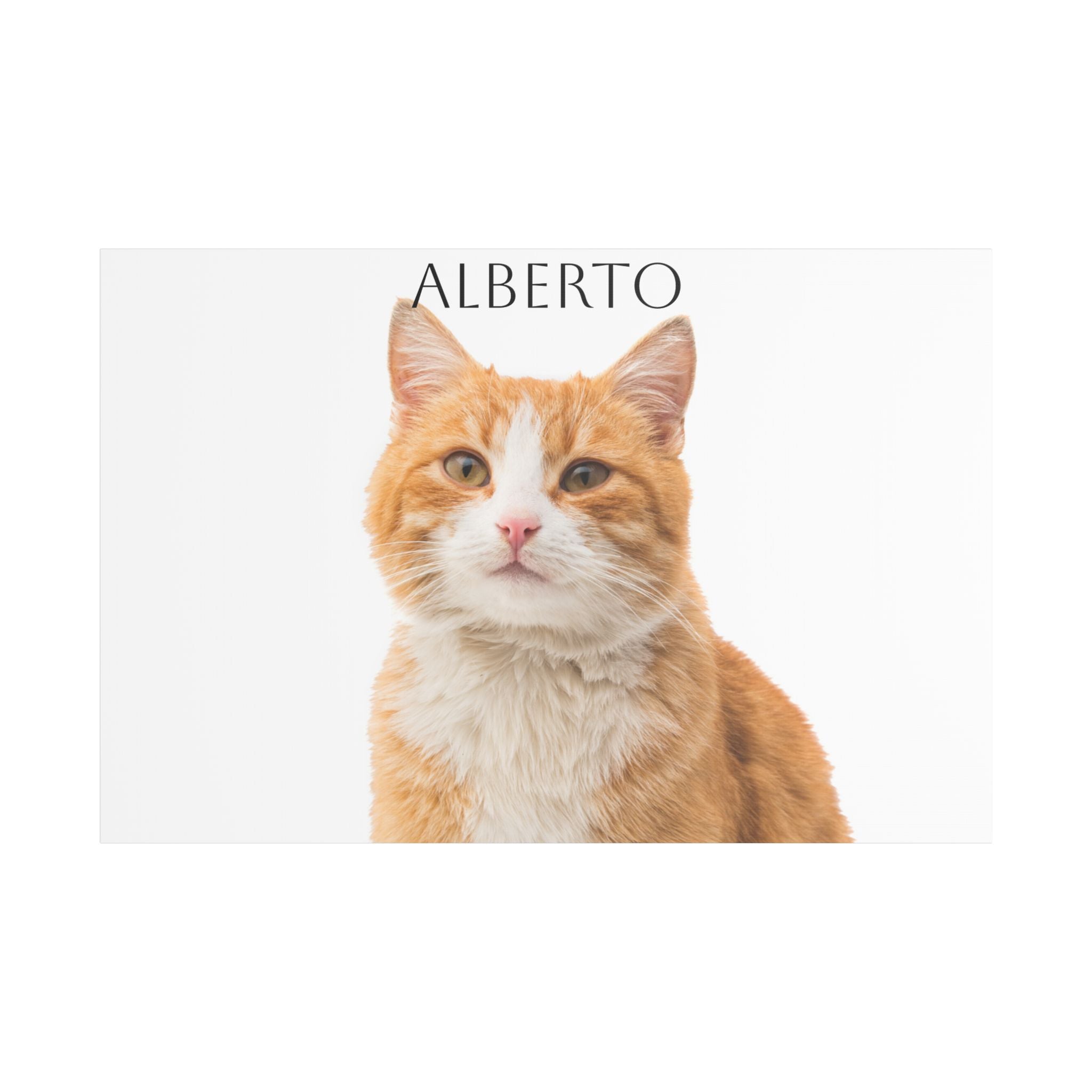 Pet Portrait Satin Canvas (Stretched)