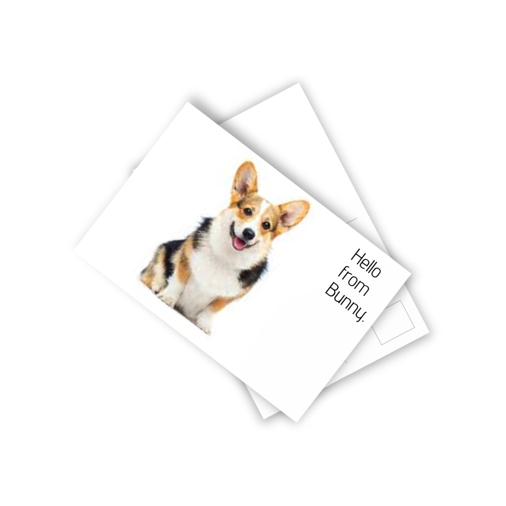 Postcards (10-Pack) — Blank Greeting Cards for Pet Lovers