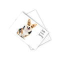 Postcards (10-Pack) — Blank Greeting Cards for Pet Lovers
