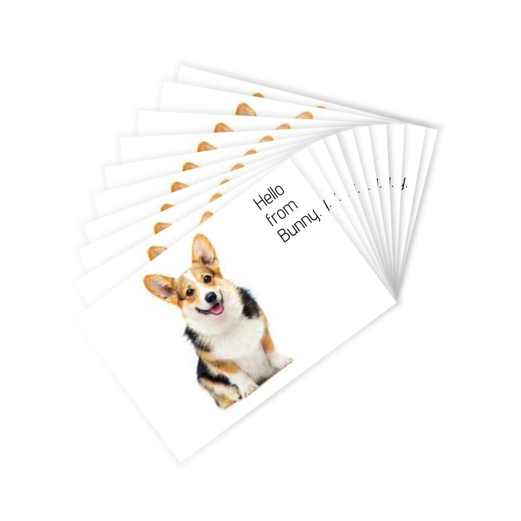 Postcards (10-Pack) — Blank Greeting Cards for Pet Lovers
