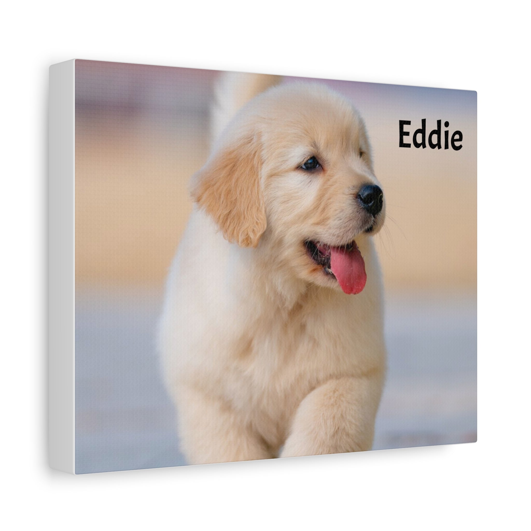 Golden Retriever Puppy Canvas Print — Adorable Walking Pup Wall Art, Stretched Matte Canvas