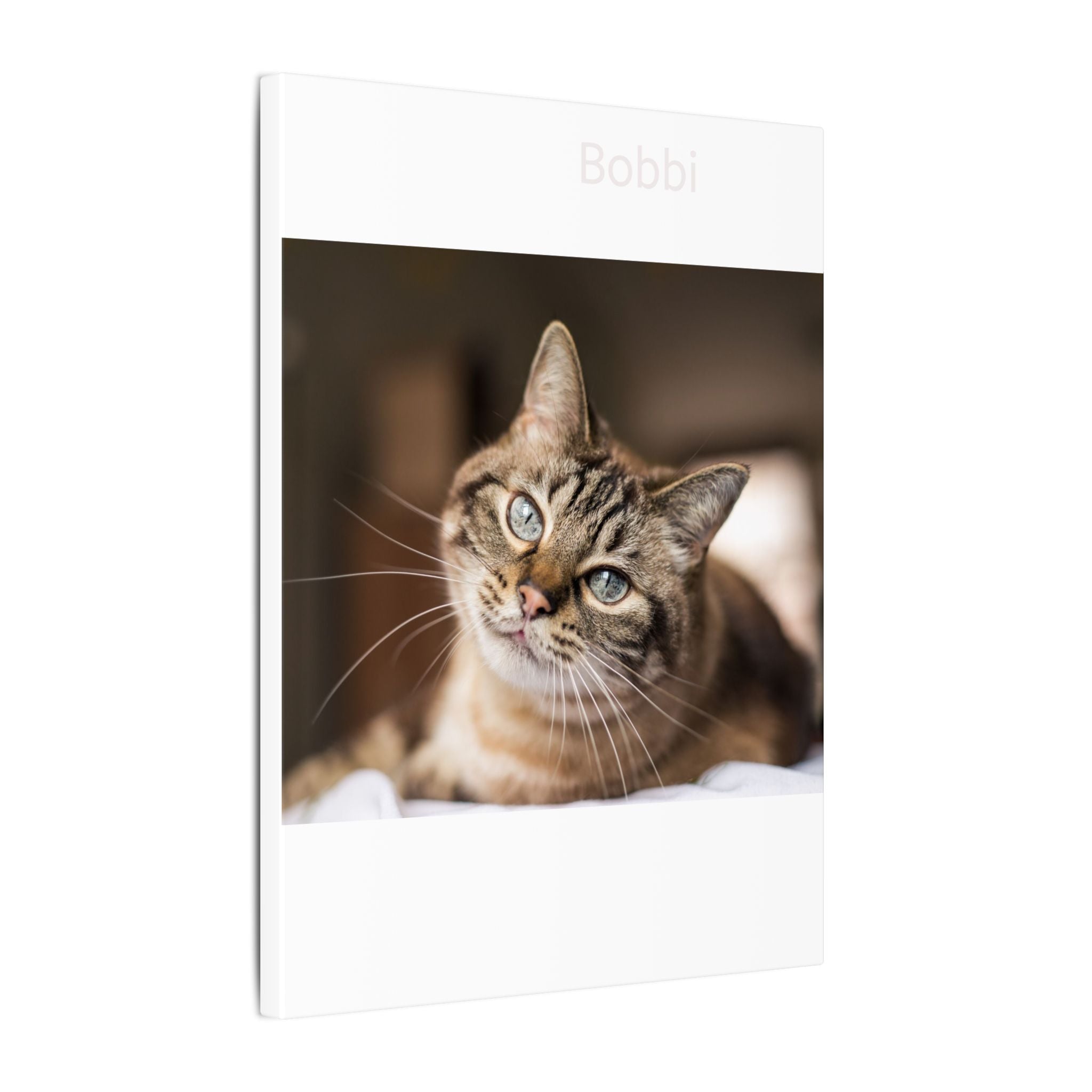 Matte Stretched Canvas Wall Art
