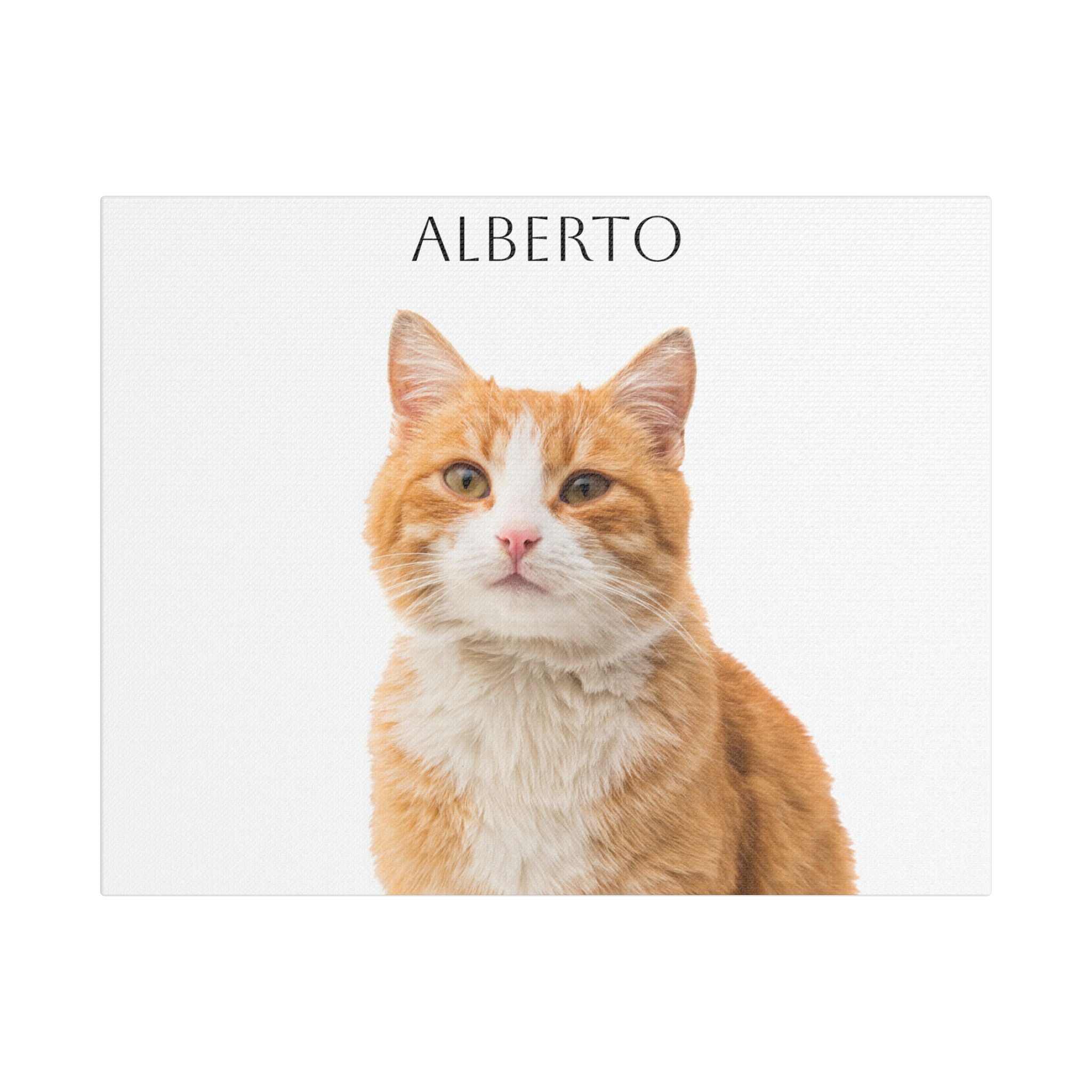 Pet Portrait Satin Canvas (Stretched)