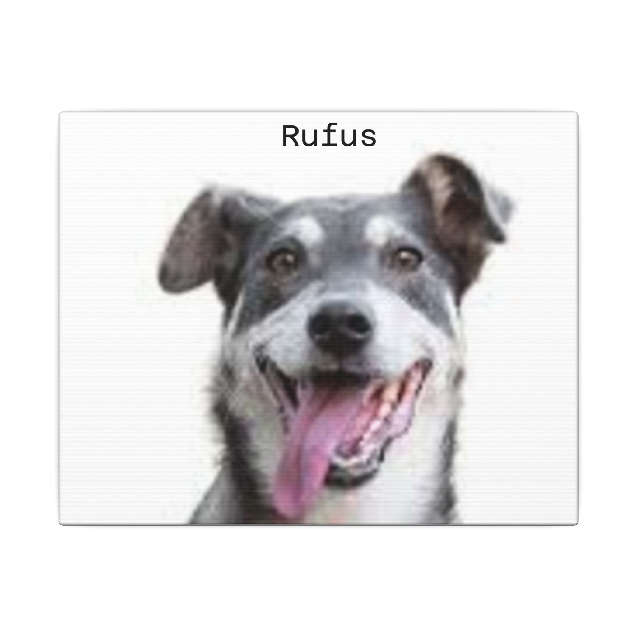 Portrait Canvas — Matte Stretched Wall Art for Pet Lovers