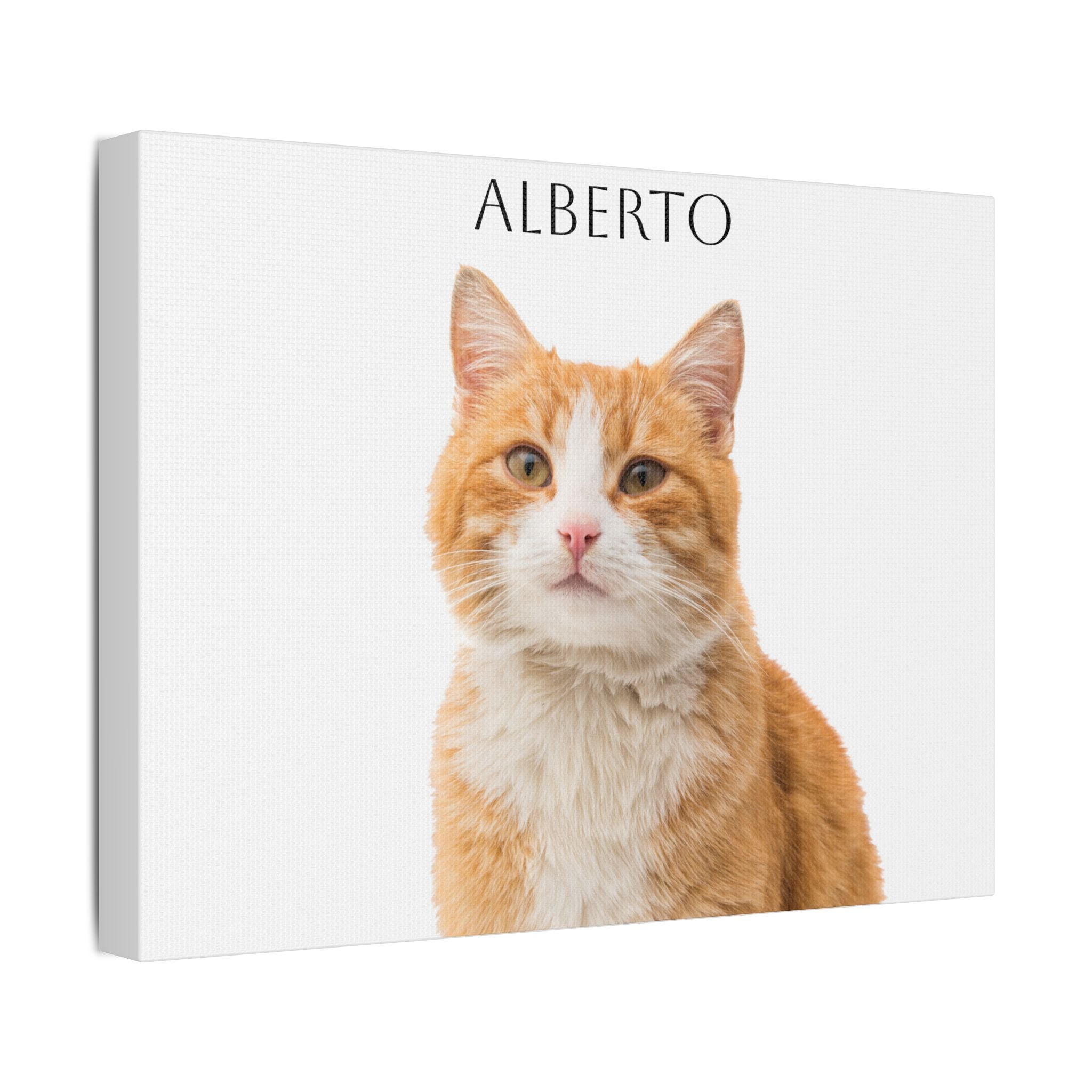 Pet Portrait Satin Canvas (Stretched)