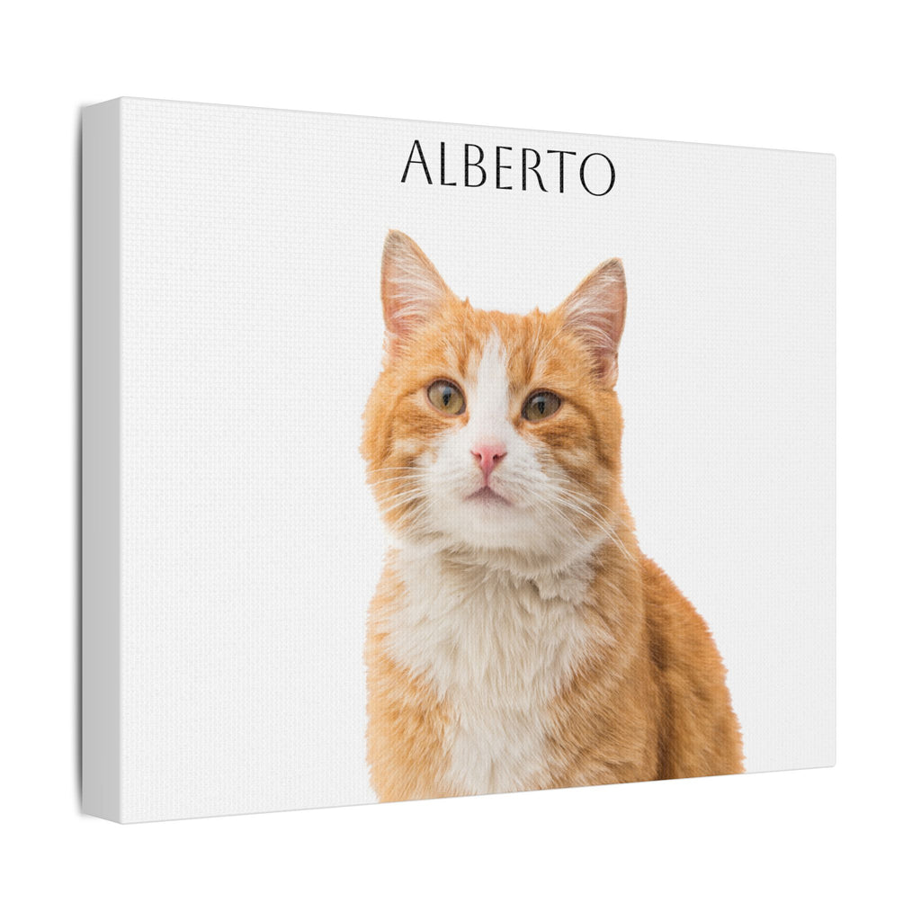 Pet Portrait Satin Canvas (Stretched)