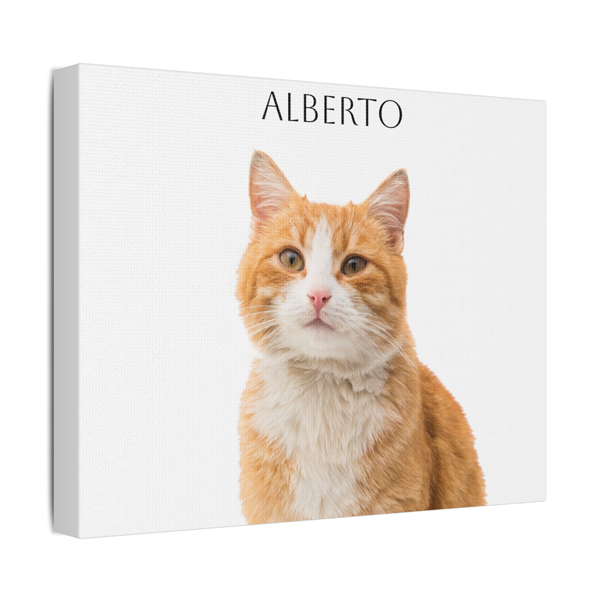 Pet Portrait Satin Canvas (Stretched)