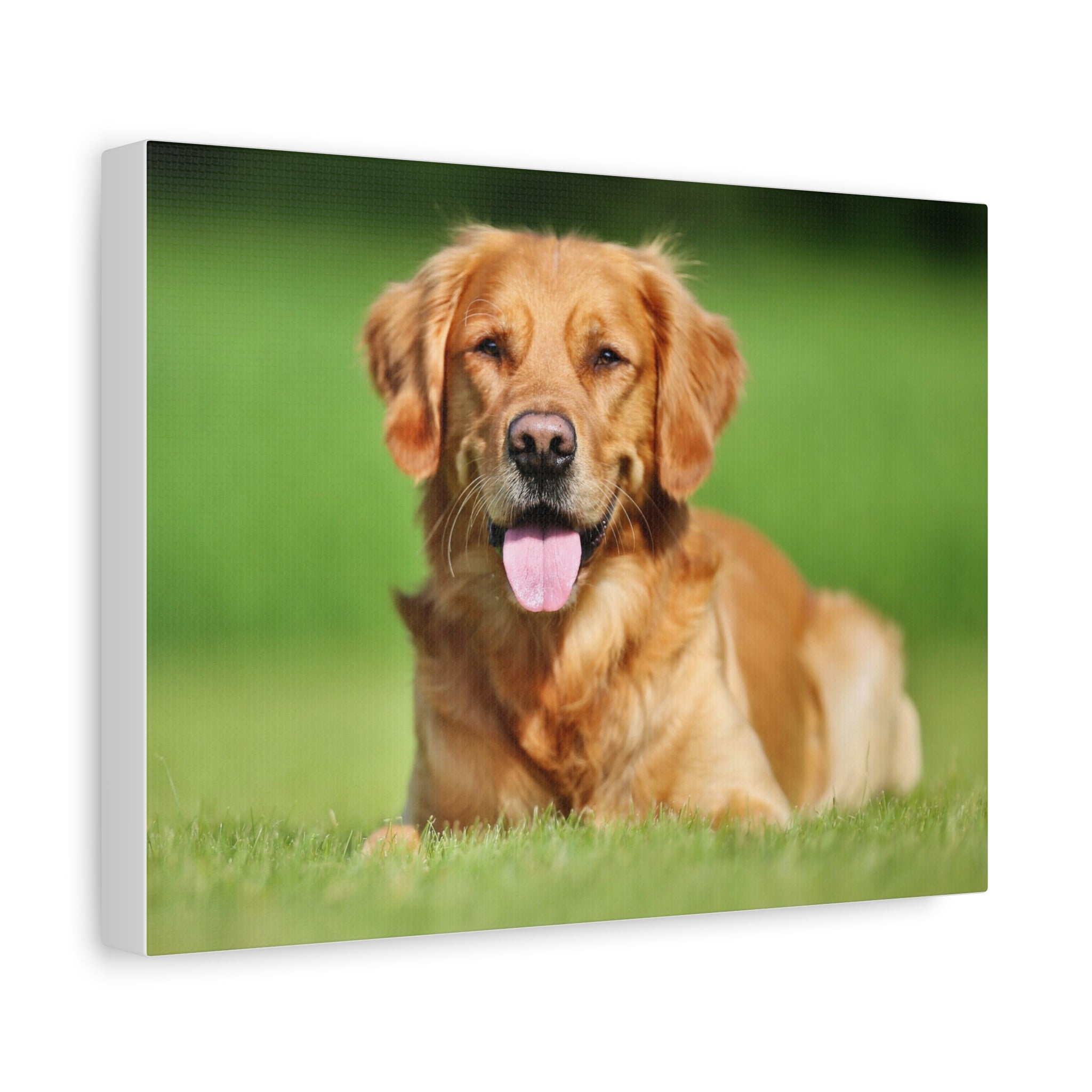 Matte Stretched Wall Art