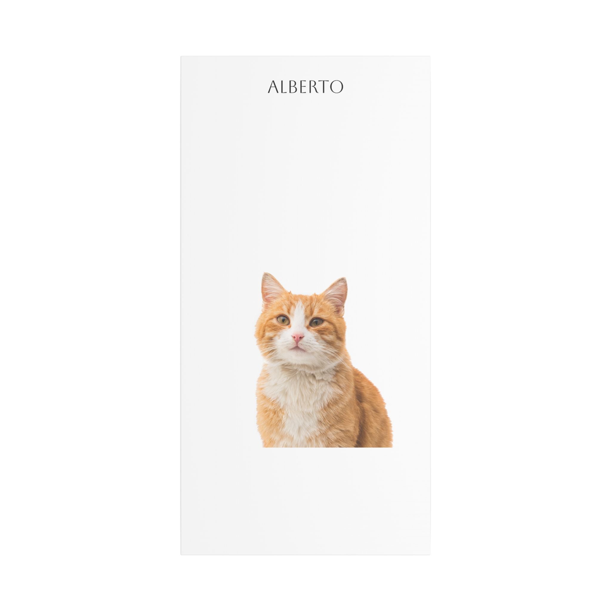 Pet Portrait Satin Canvas (Stretched)
