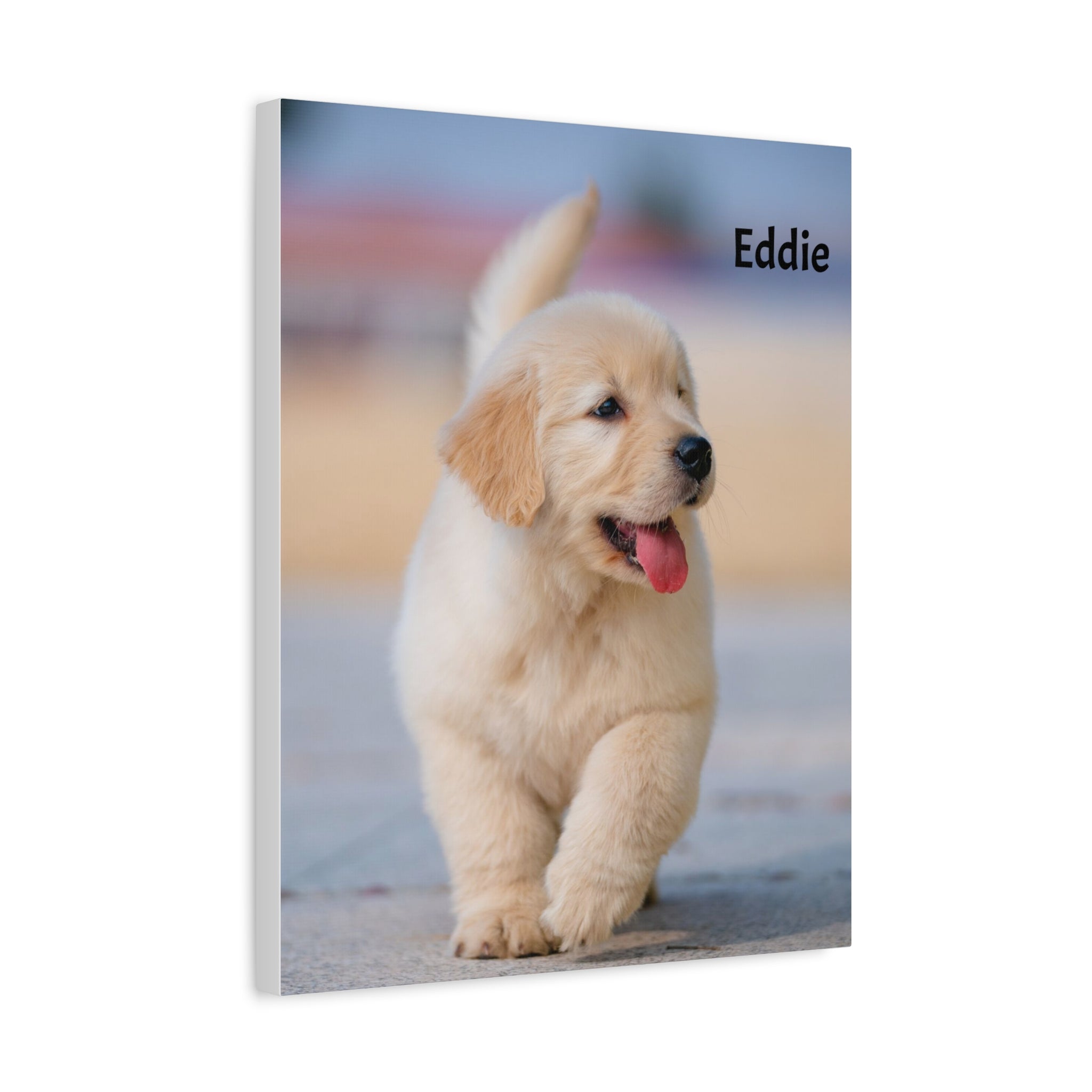 Golden Retriever Puppy Canvas Print — Adorable Walking Pup Wall Art, Stretched Matte Canvas