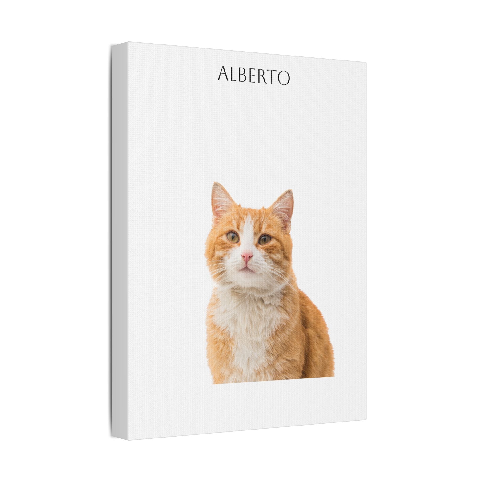 Pet Portrait Satin Canvas (Stretched)