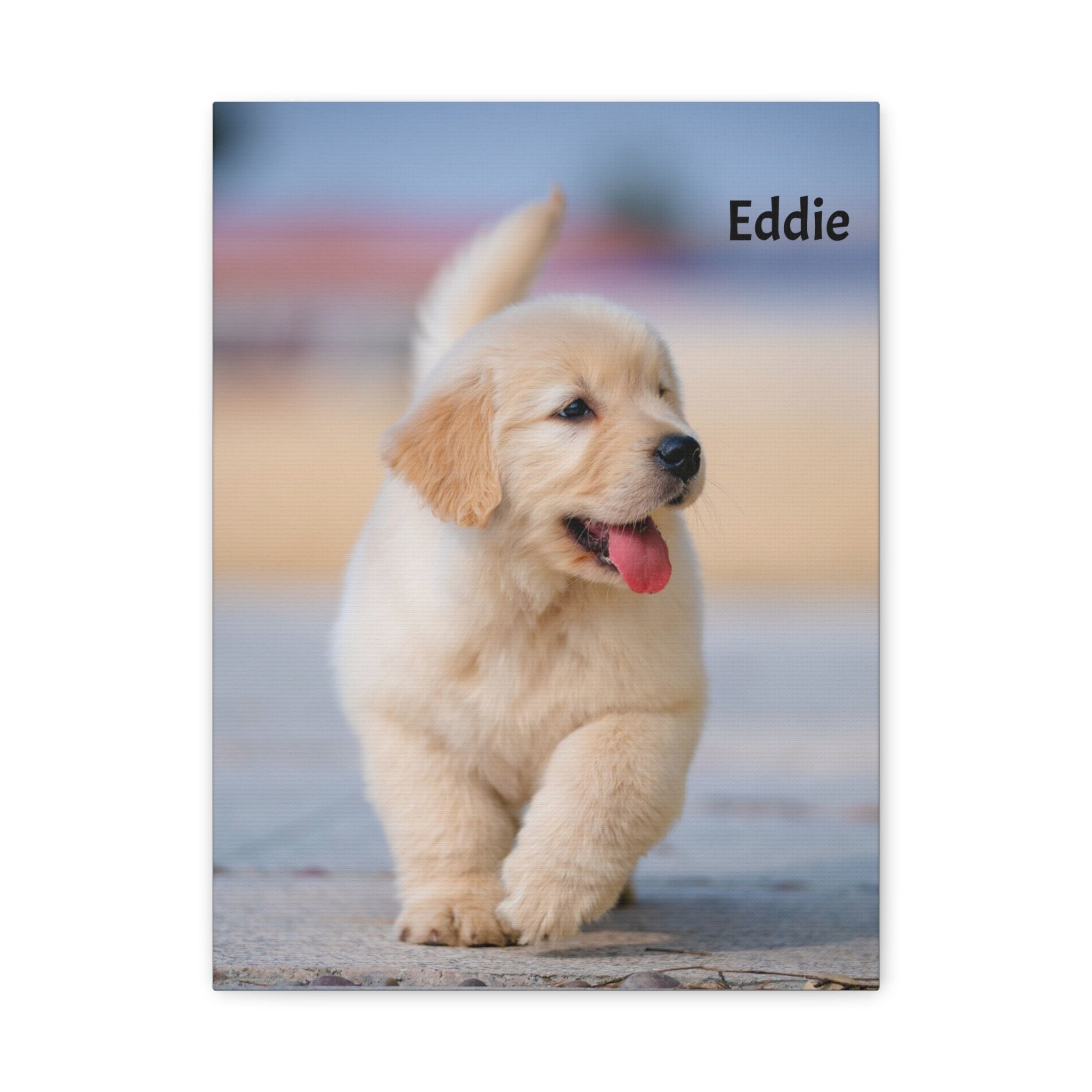 Golden Retriever Puppy Canvas Print — Adorable Walking Pup Wall Art, Stretched Matte Canvas