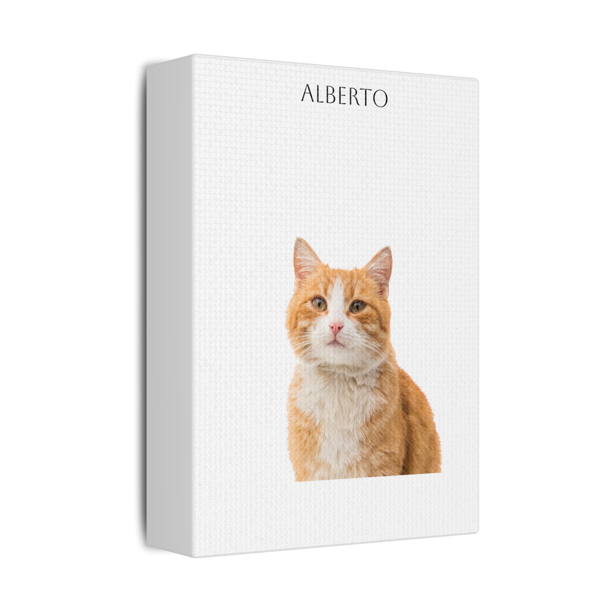 Pet Portrait Satin Canvas (Stretched)