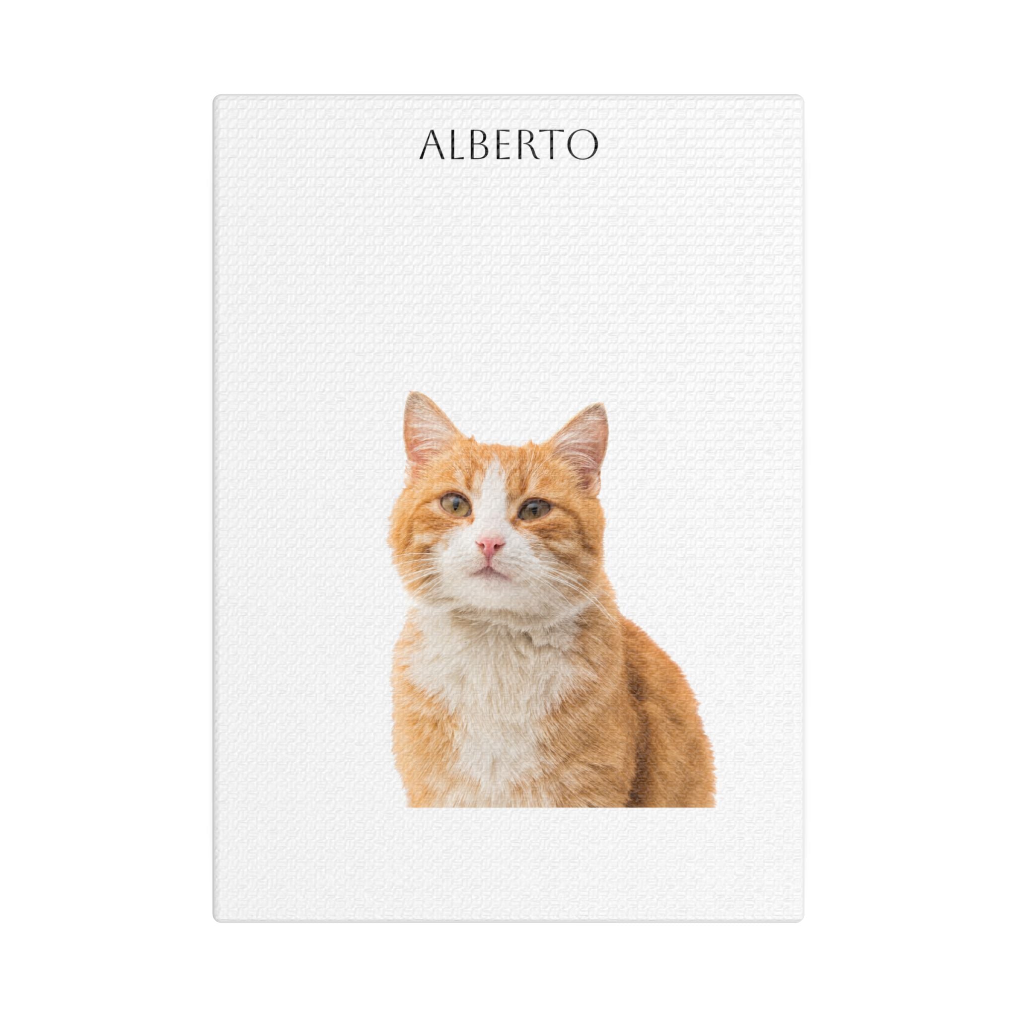 Pet Portrait Satin Canvas (Stretched)