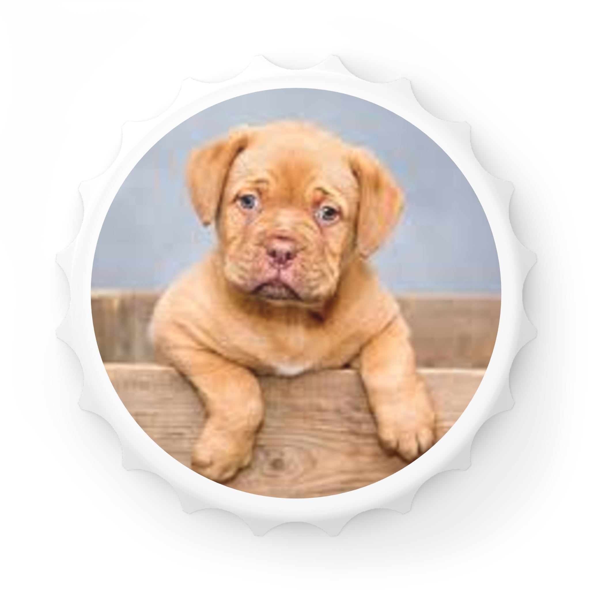 Cute Magnet Bottle Cap Opener