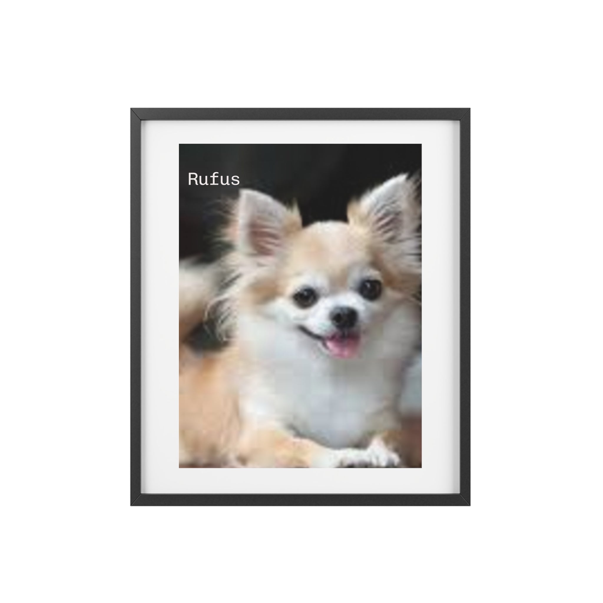 Framed Matte Poster