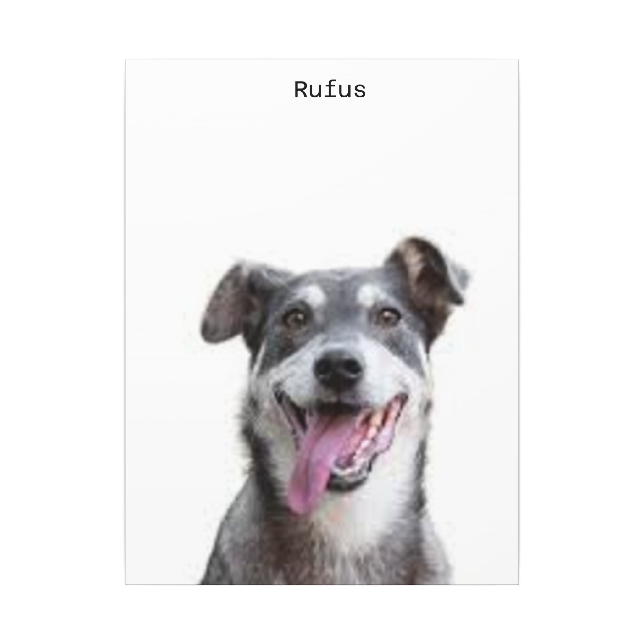 Portrait Canvas — Matte Stretched Wall Art for Pet Lovers