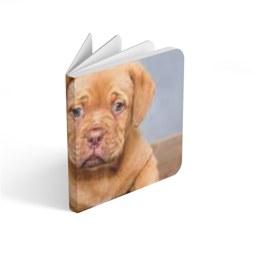 Picture Board Book – Cute Book for Toddlers