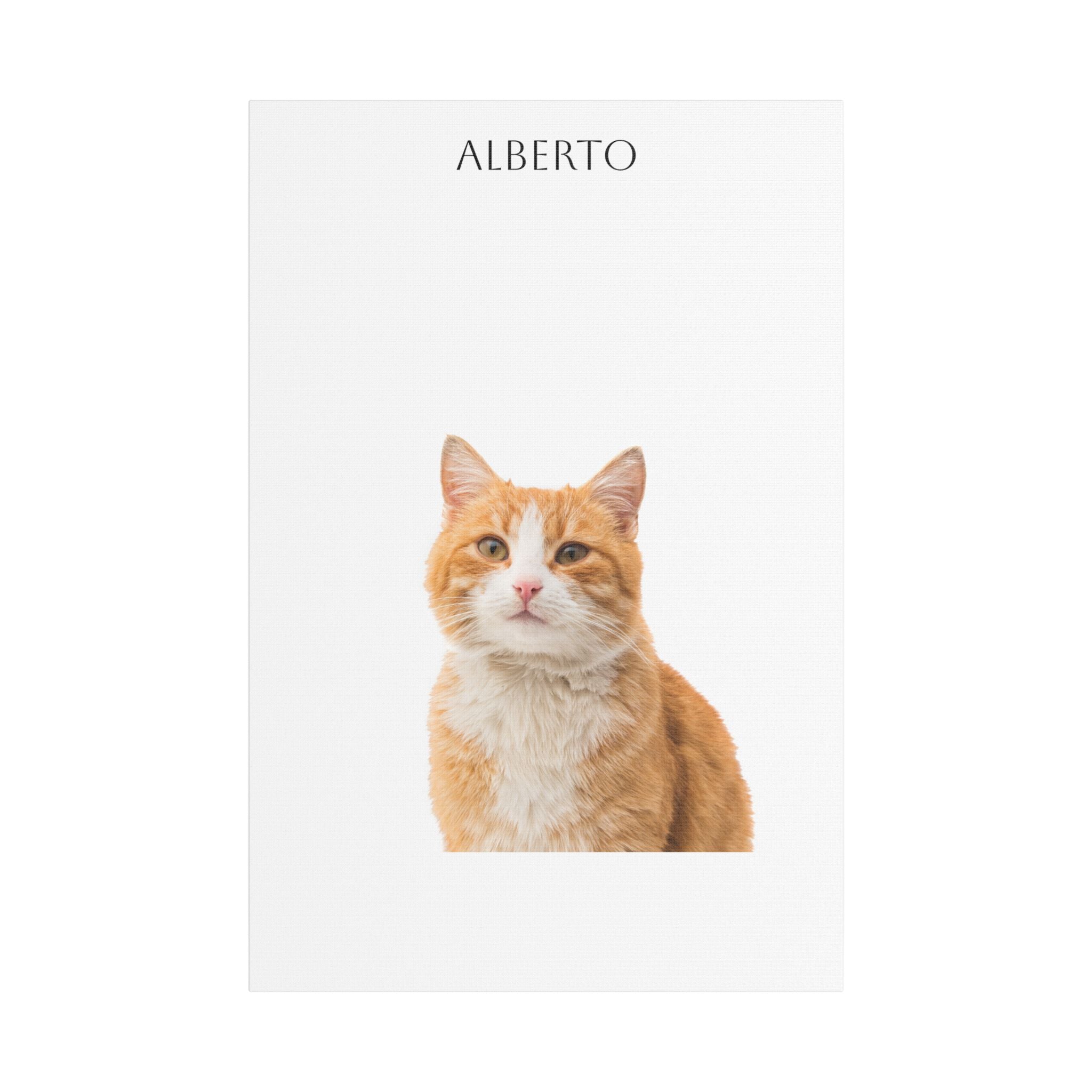 Pet Portrait Satin Canvas (Stretched)