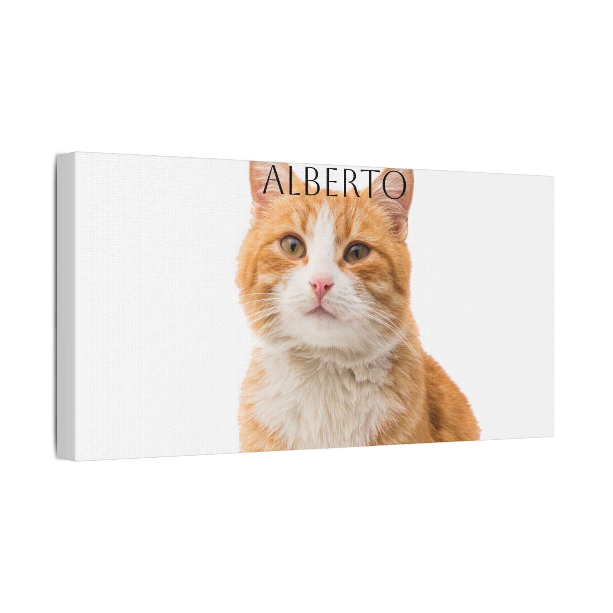 Pet Portrait Satin Canvas (Stretched)