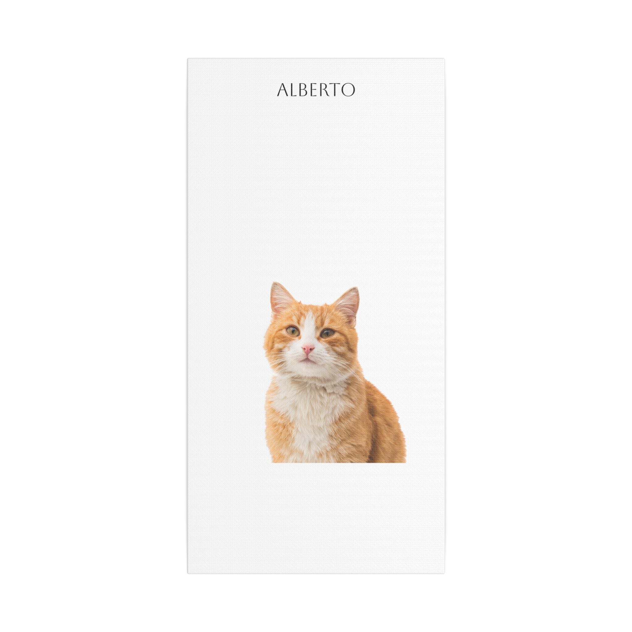 Pet Portrait Satin Canvas (Stretched)