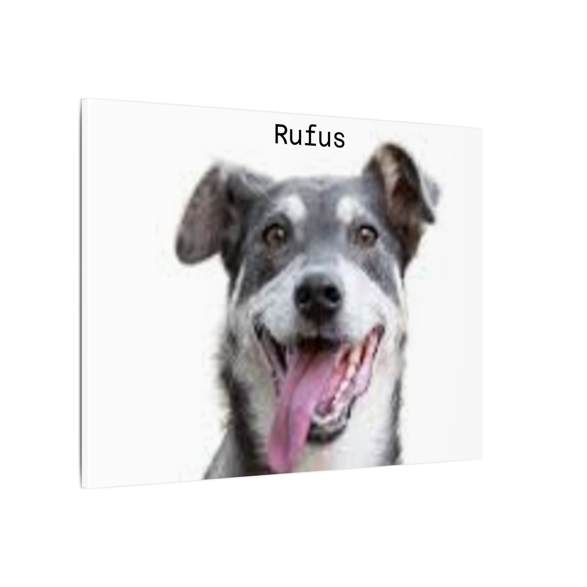 Portrait Canvas — Matte Stretched Wall Art for Pet Lovers