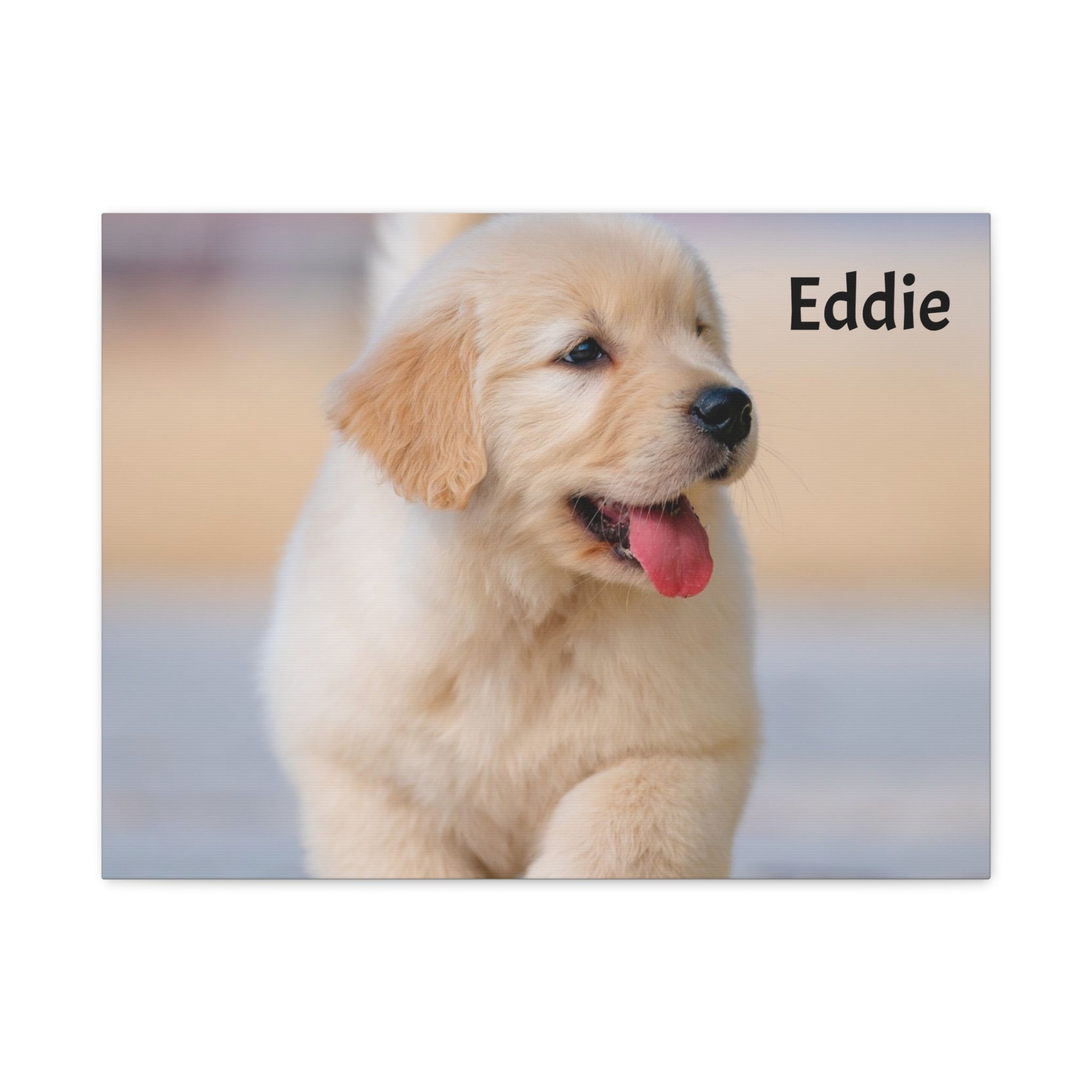 Golden Retriever Puppy Canvas Print — Adorable Walking Pup Wall Art, Stretched Matte Canvas