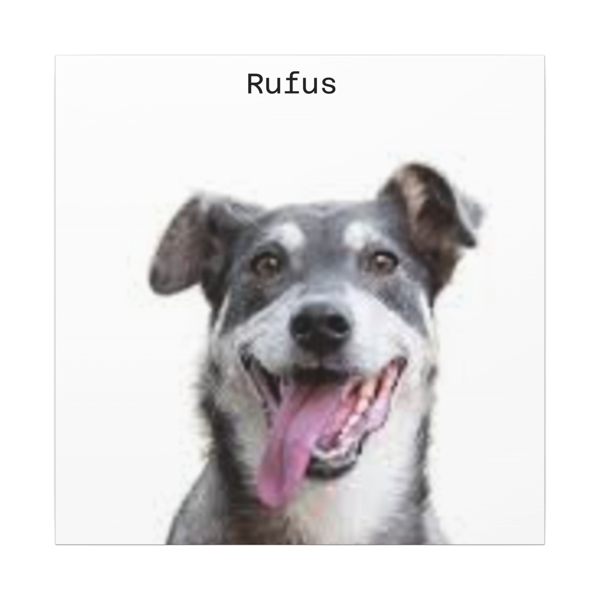 Portrait Canvas — Matte Stretched Wall Art for Pet Lovers