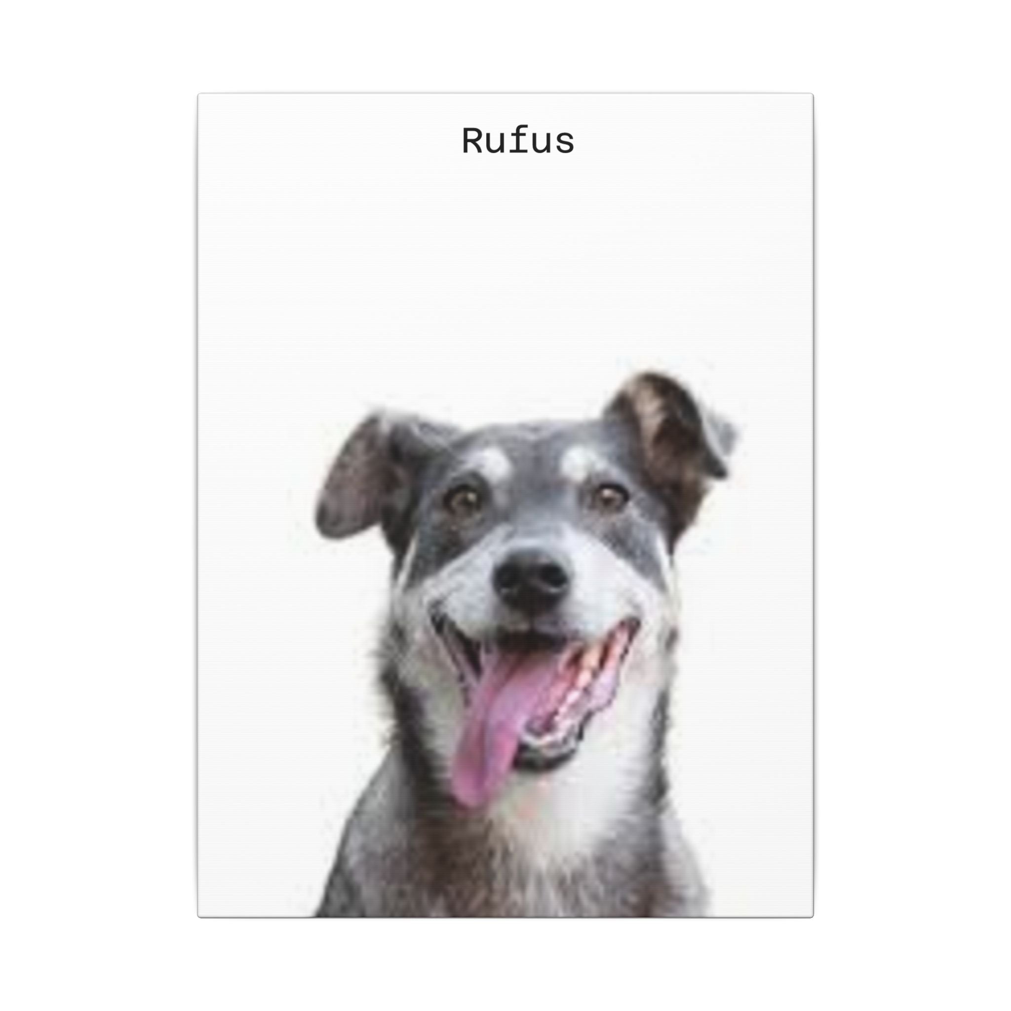 Portrait Canvas — Matte Stretched Wall Art for Pet Lovers