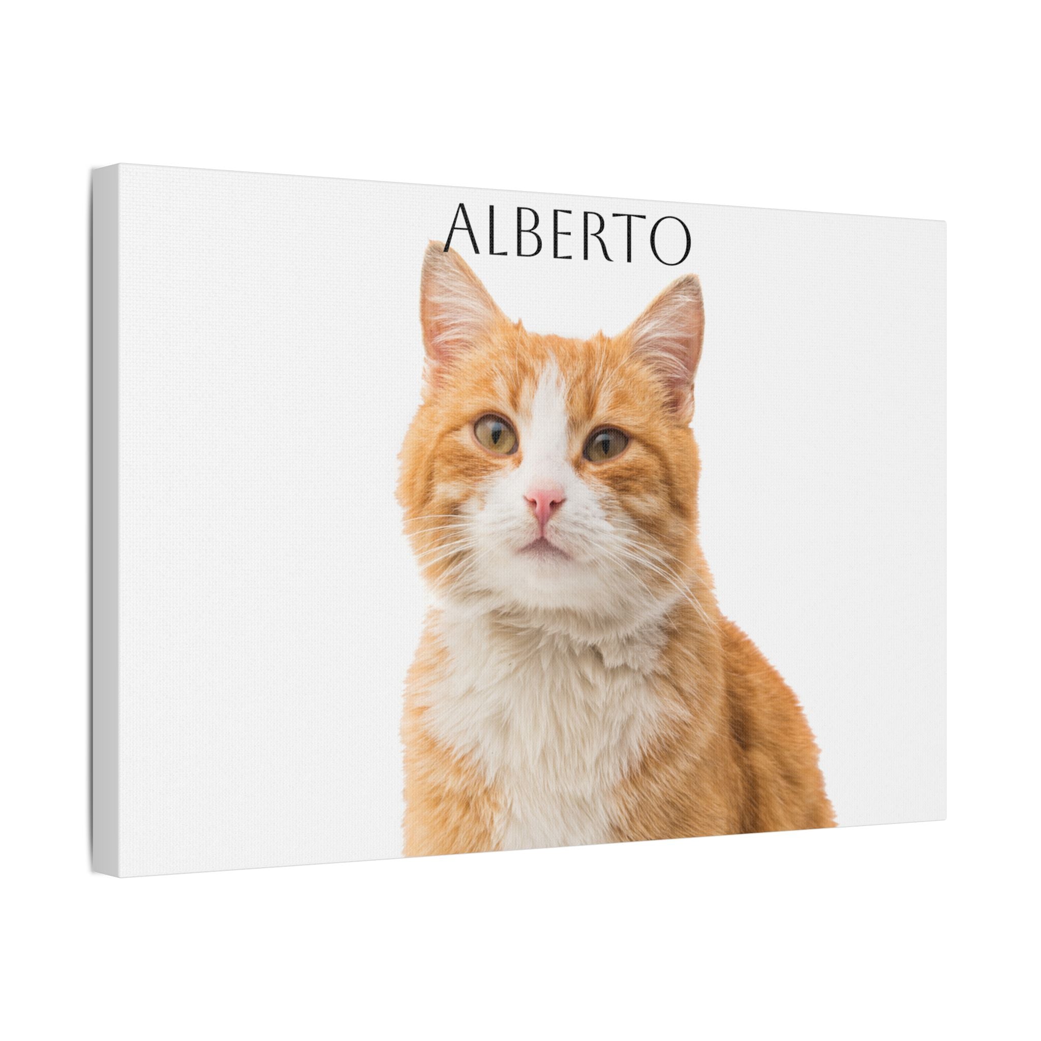 Pet Portrait Satin Canvas (Stretched)