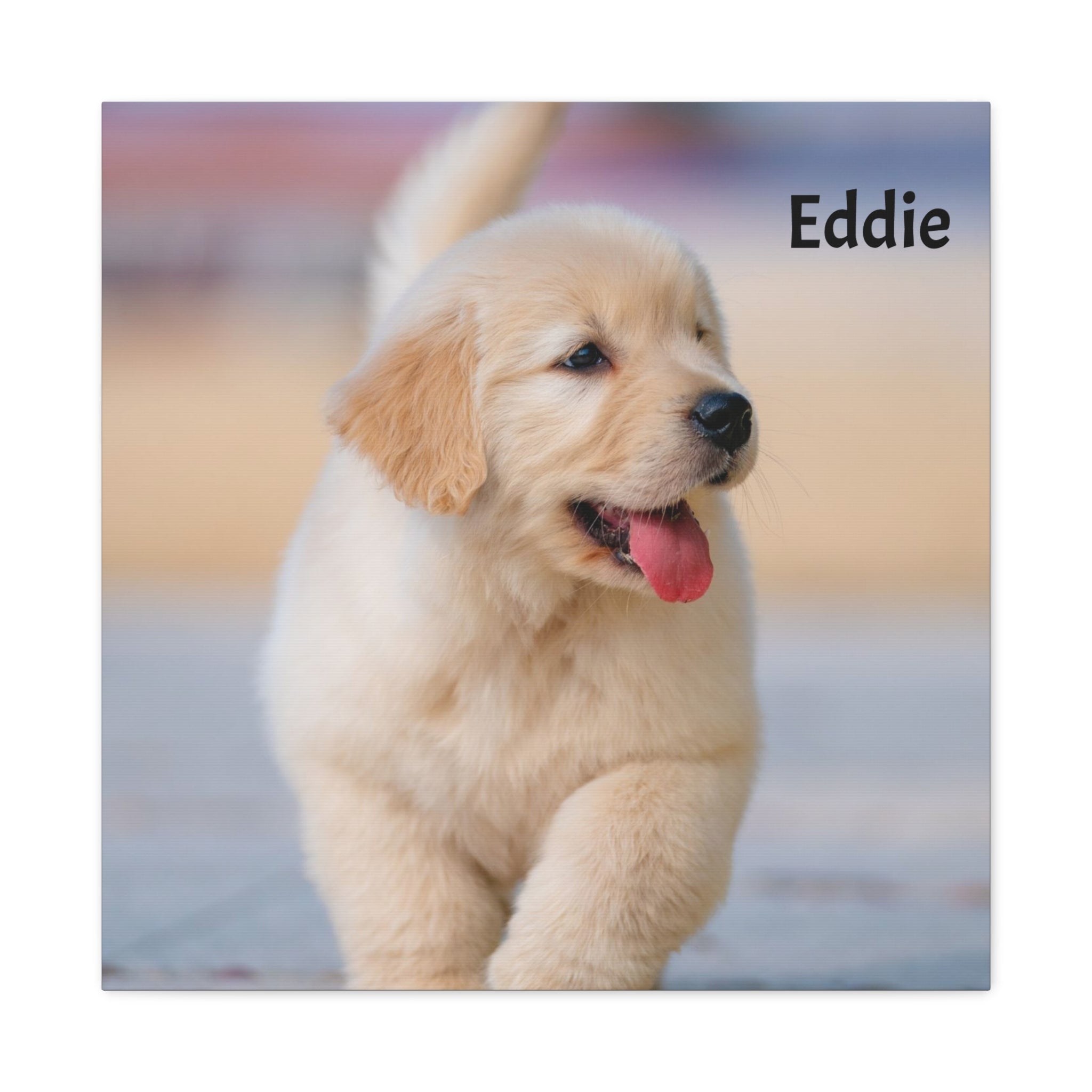 Golden Retriever Puppy Canvas Print — Adorable Walking Pup Wall Art, Stretched Matte Canvas