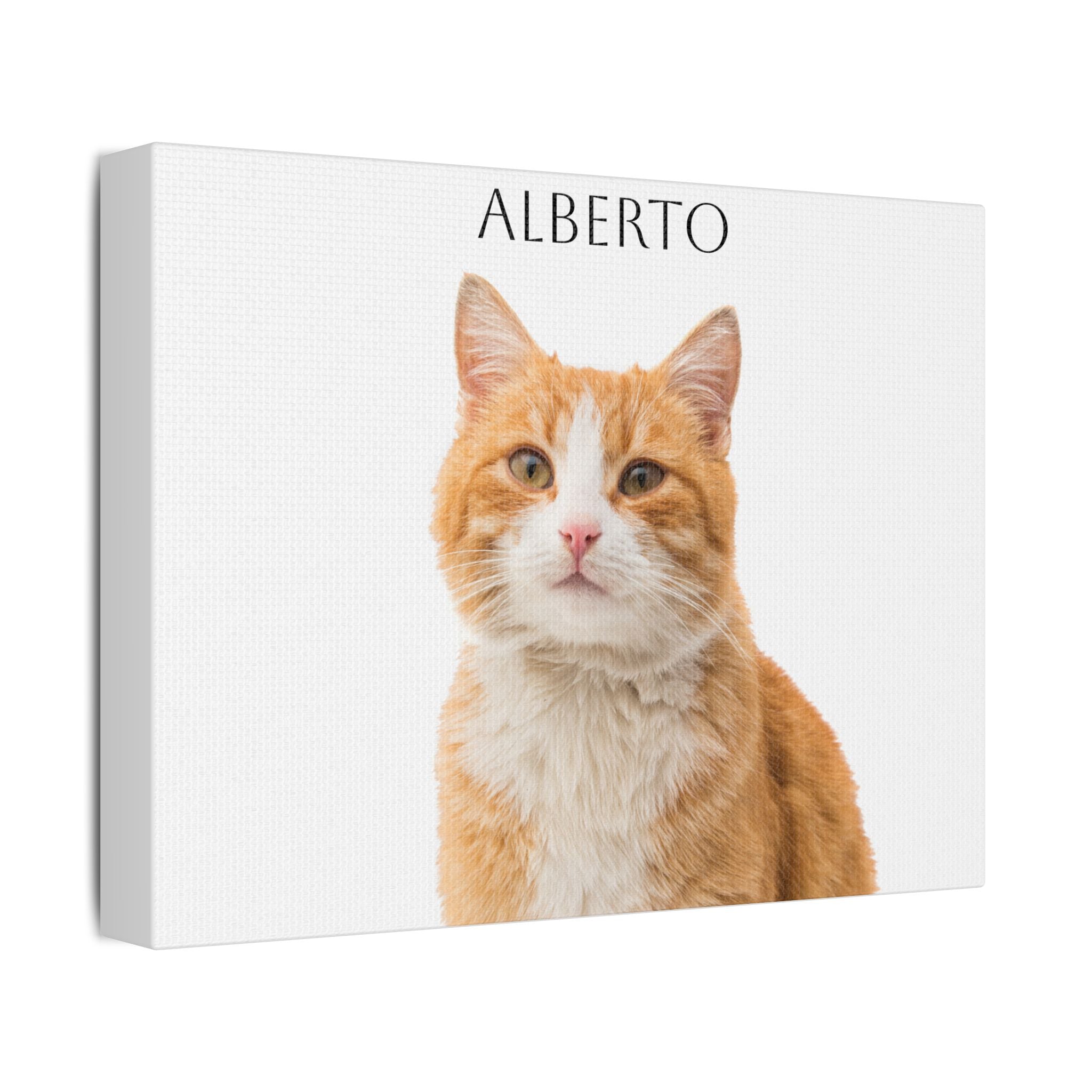 Pet Portrait Satin Canvas (Stretched)